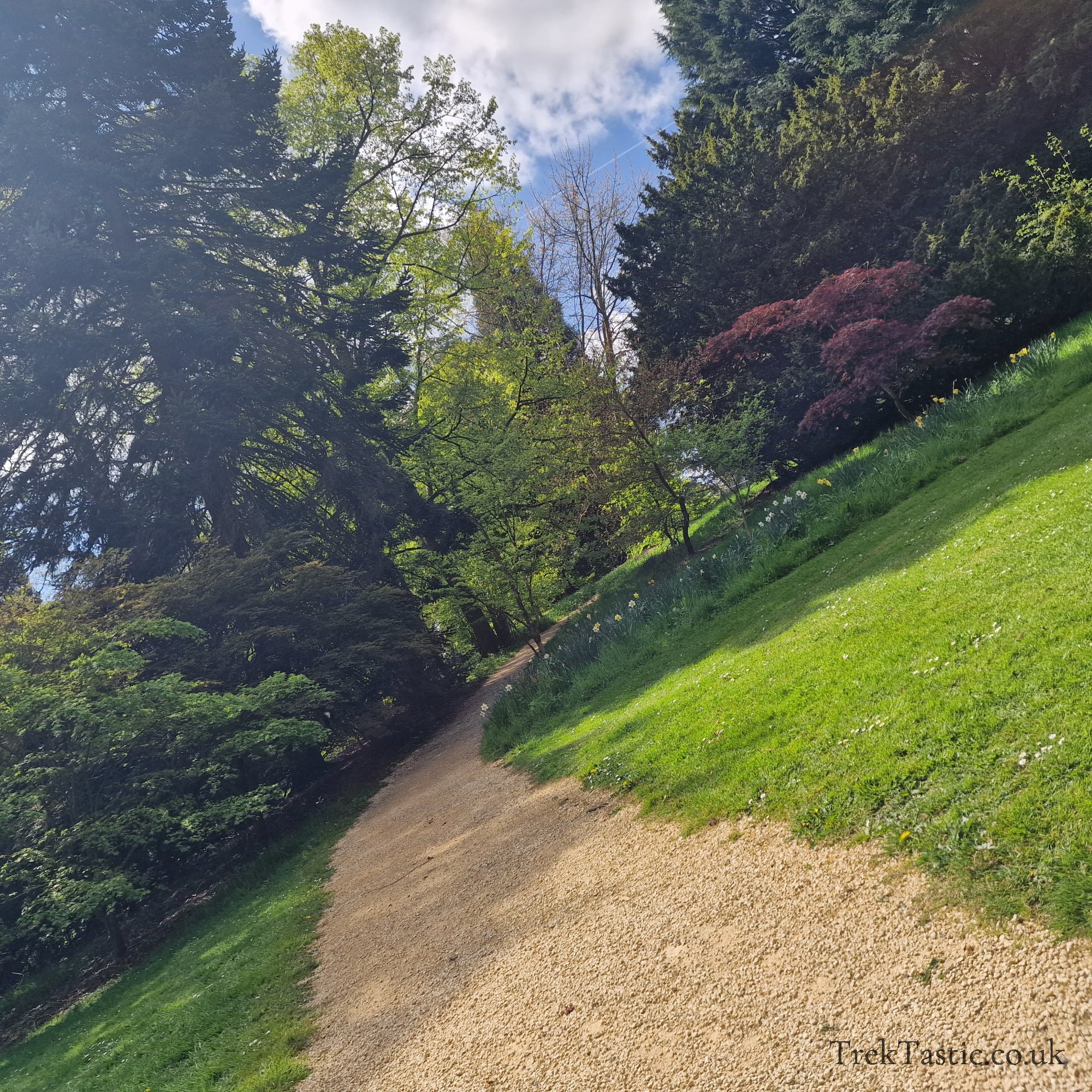 Batsford Arboretum gallery image 21