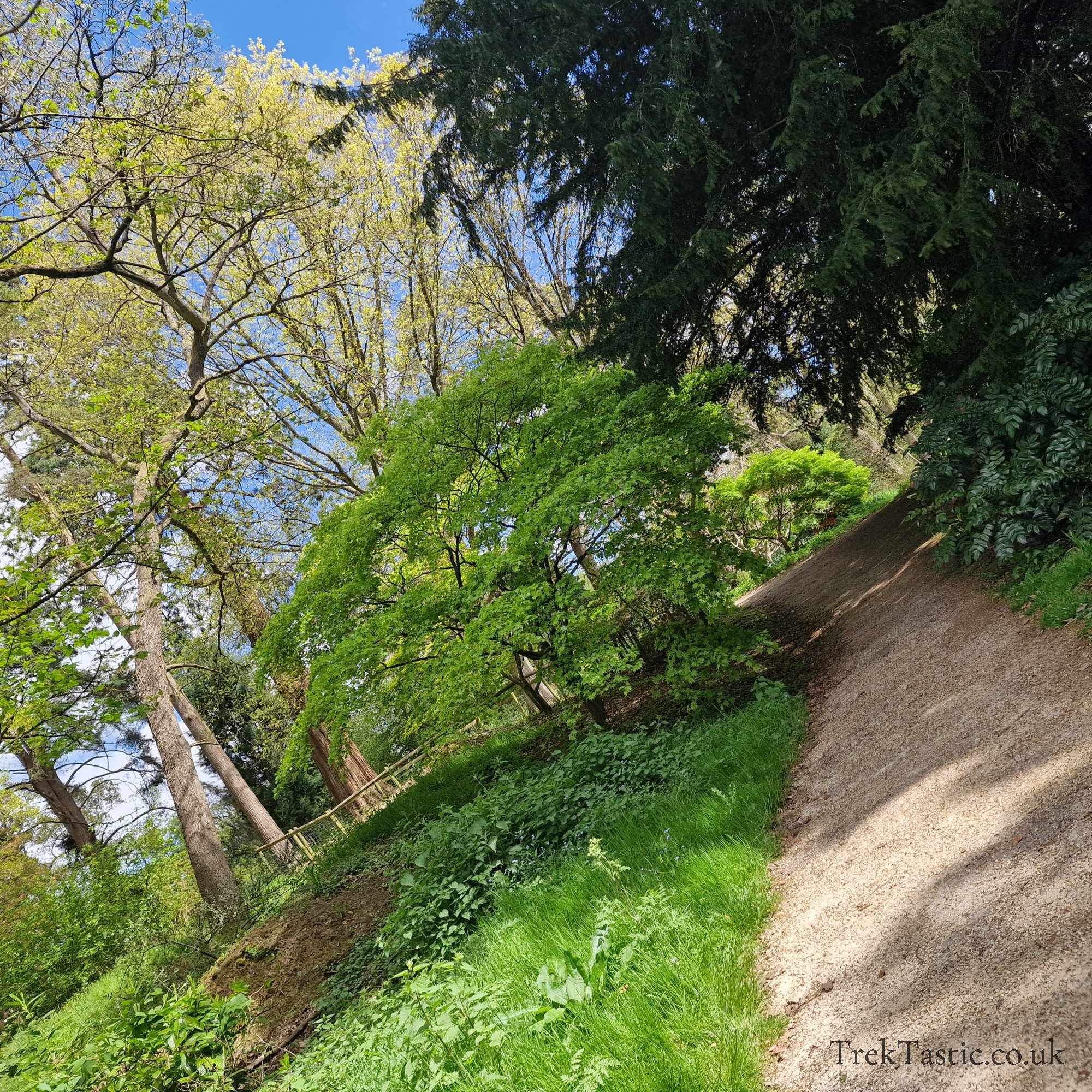 Batsford Arboretum gallery image 22