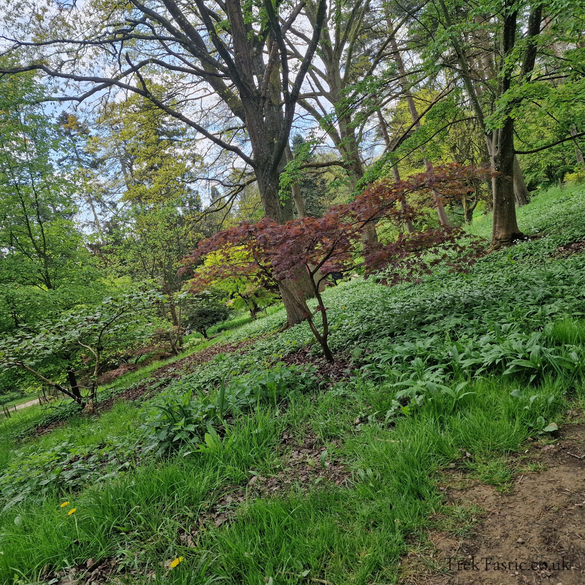 Batsford Arboretum gallery image 23