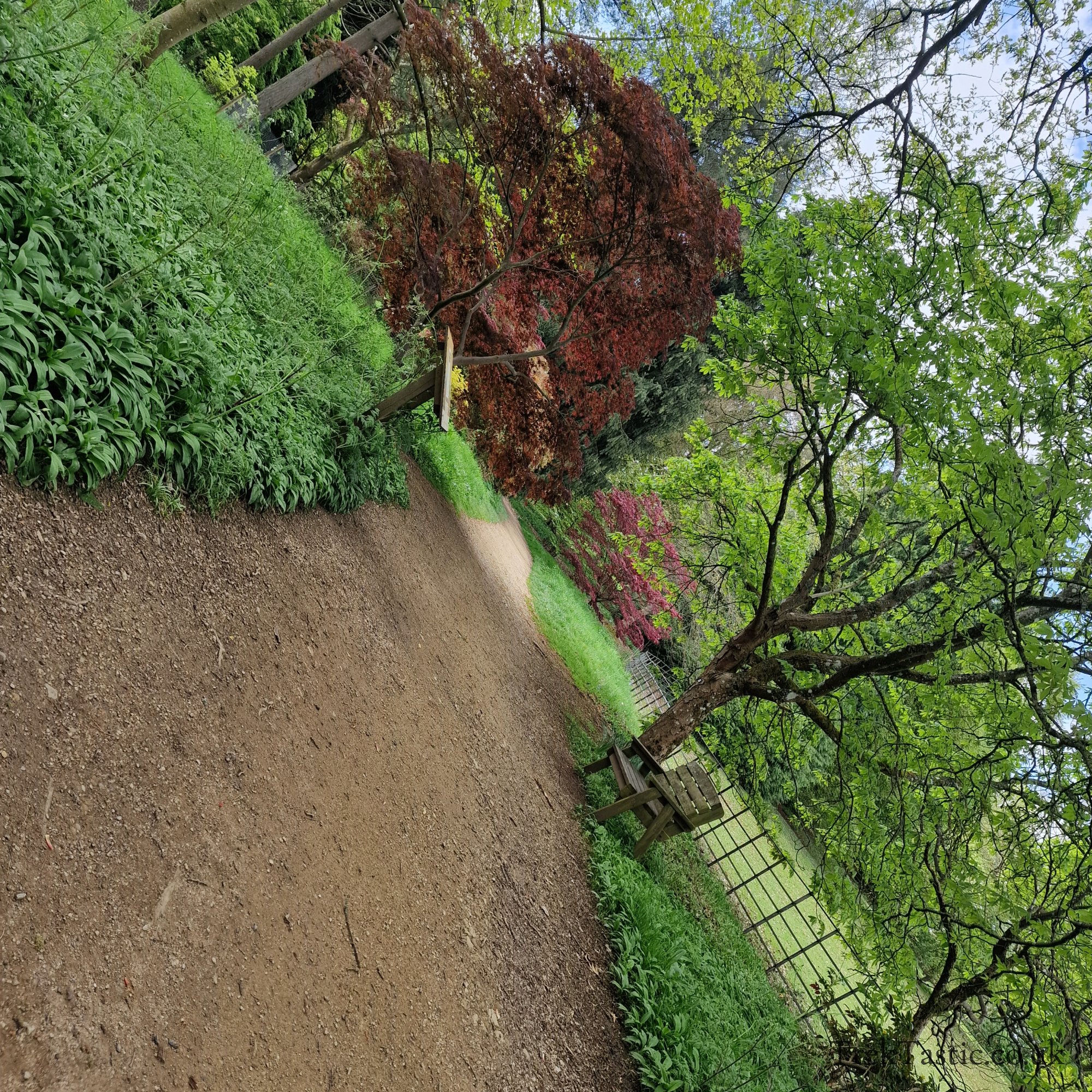 Batsford Arboretum gallery image 24
