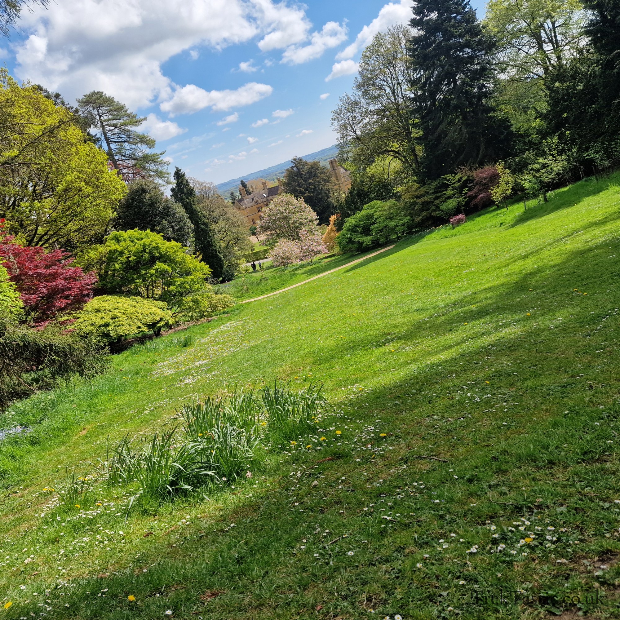 Batsford Arboretum gallery image 28