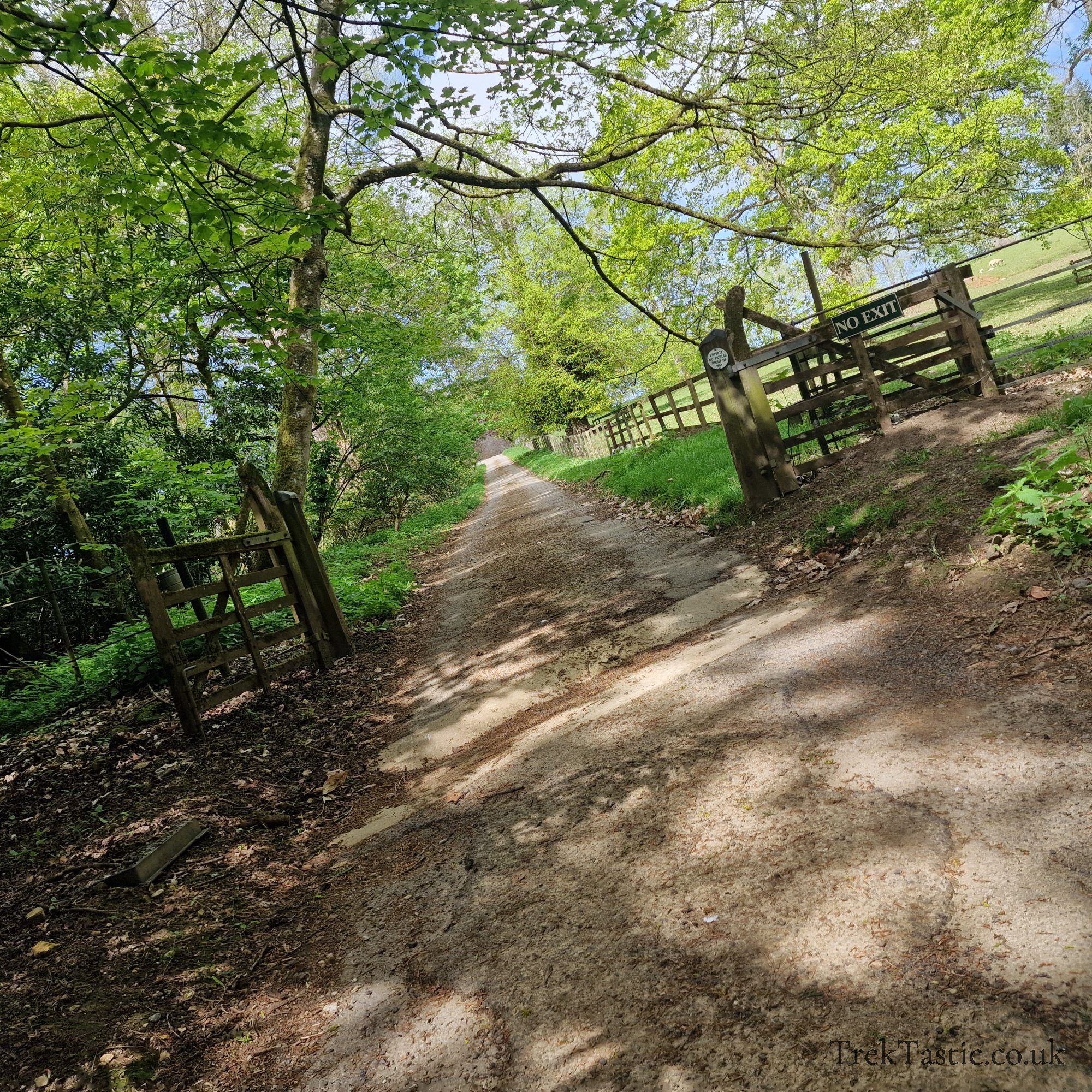 Batsford Arboretum gallery image 32