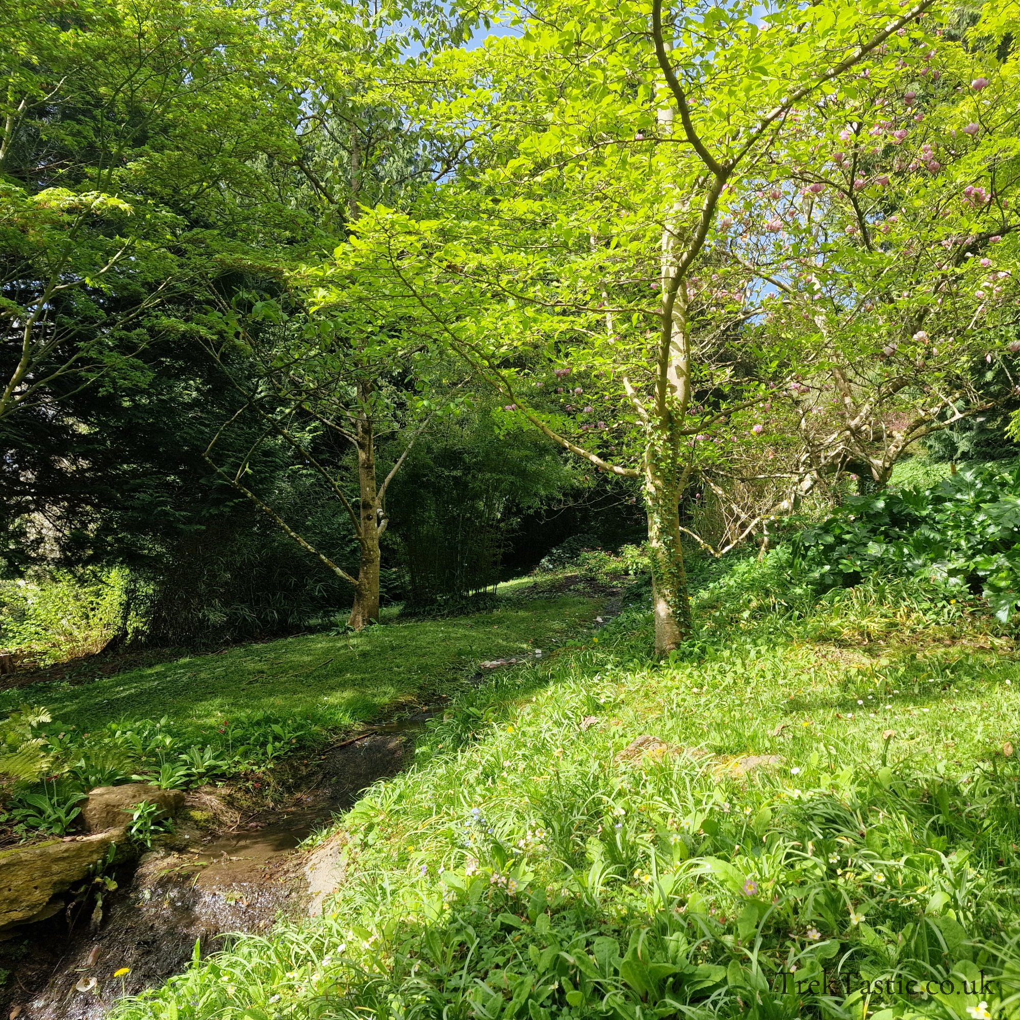 Batsford Arboretum gallery image 33
