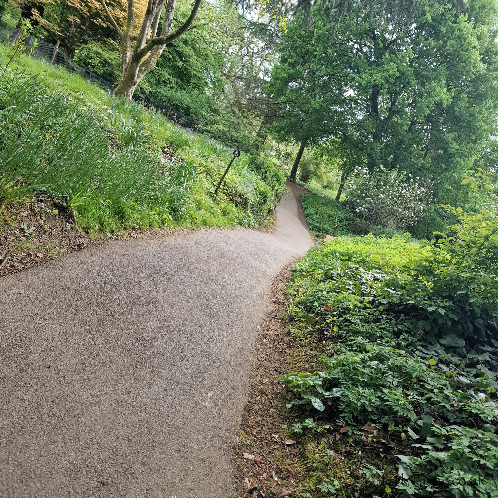 Batsford Arboretum gallery image 34