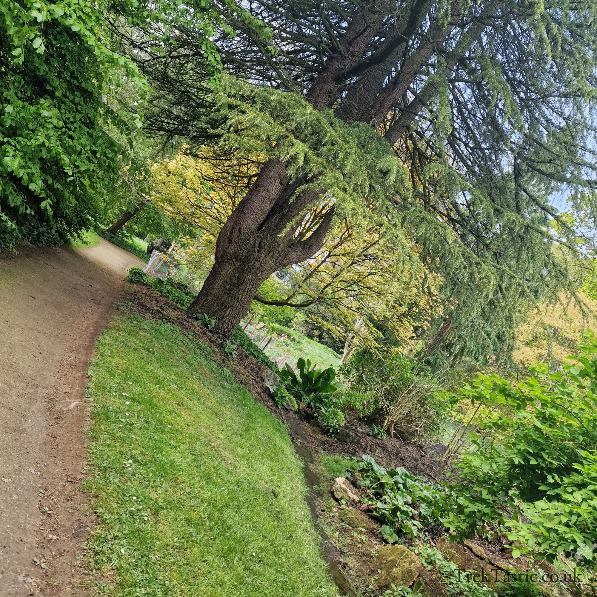 Batsford Arboretum gallery image 36