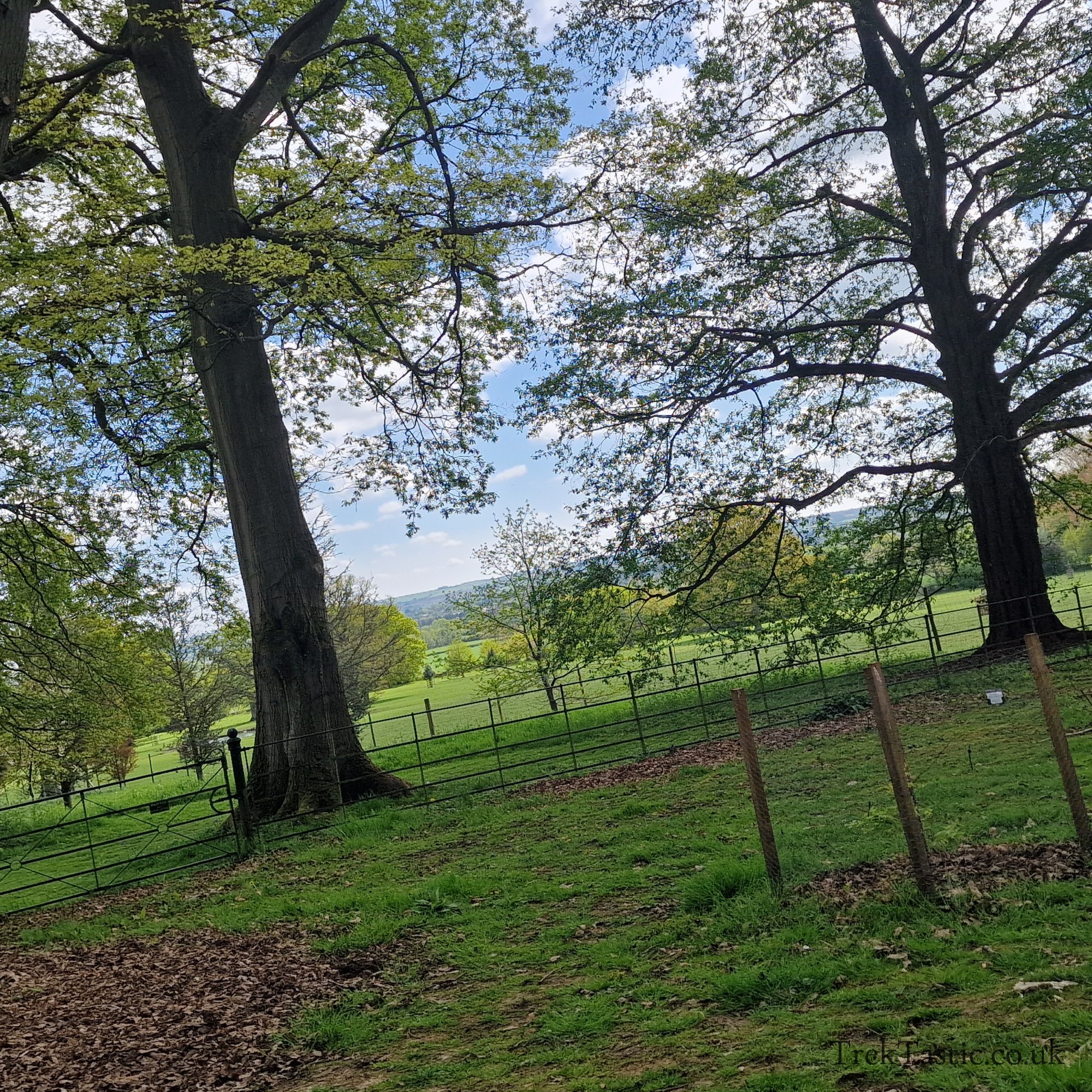 Batsford Arboretum gallery image 38