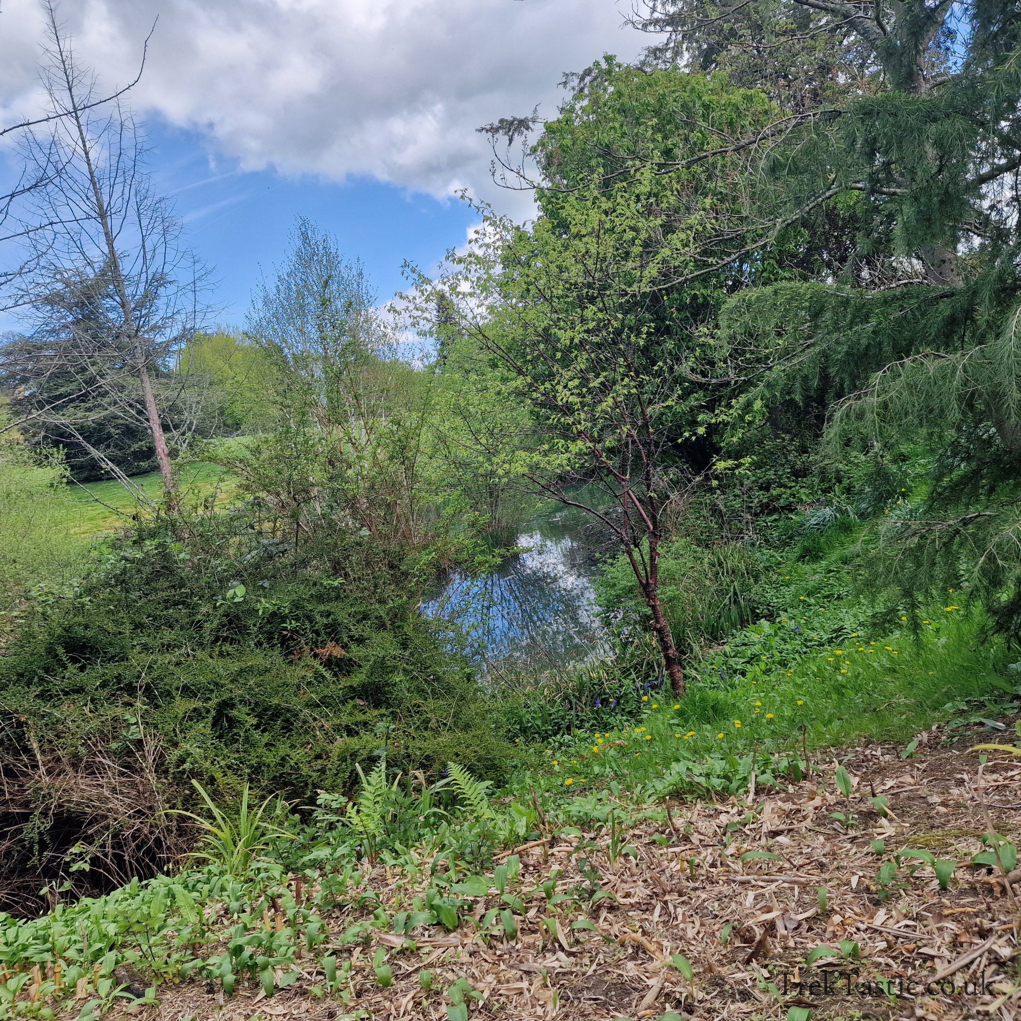 Batsford Arboretum gallery image 41