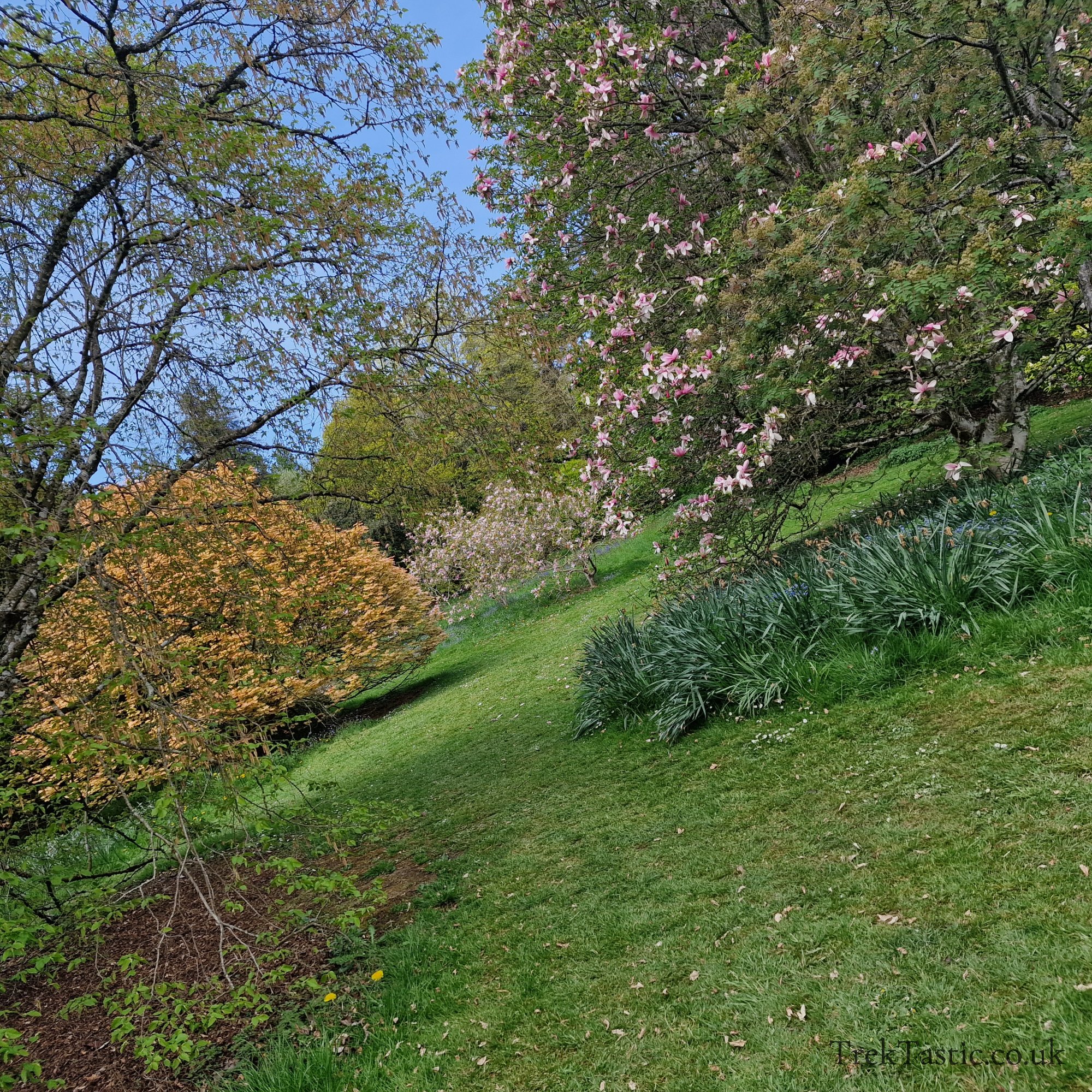 Batsford Arboretum gallery image 43