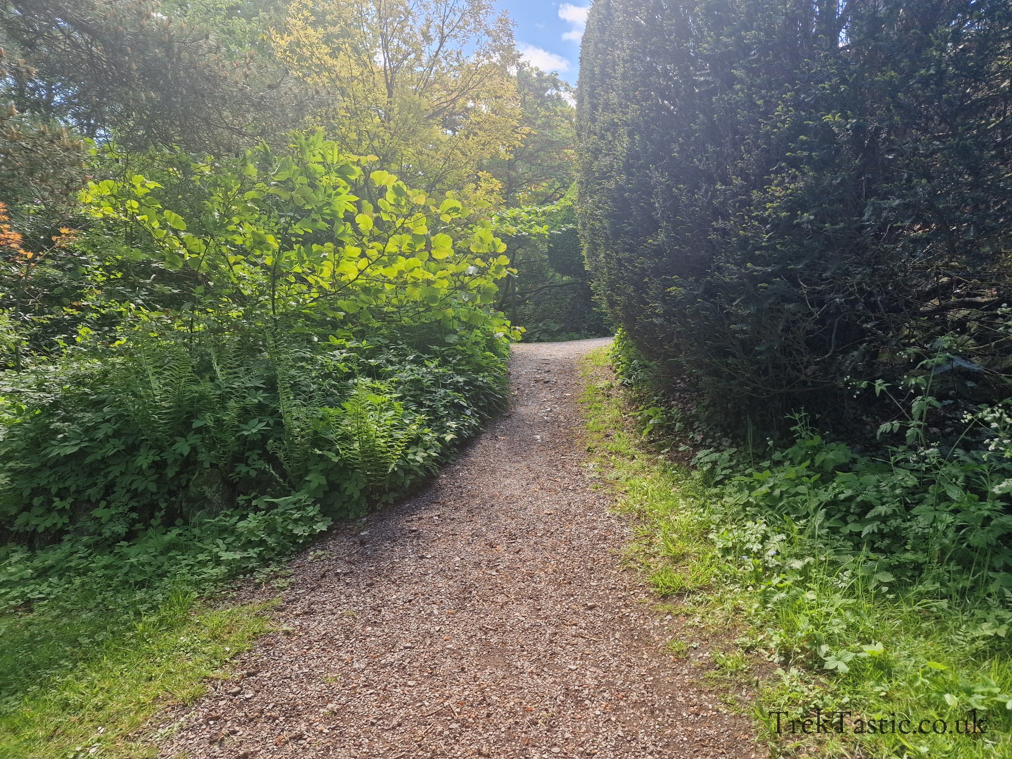 Benthall Estate gallery image 8