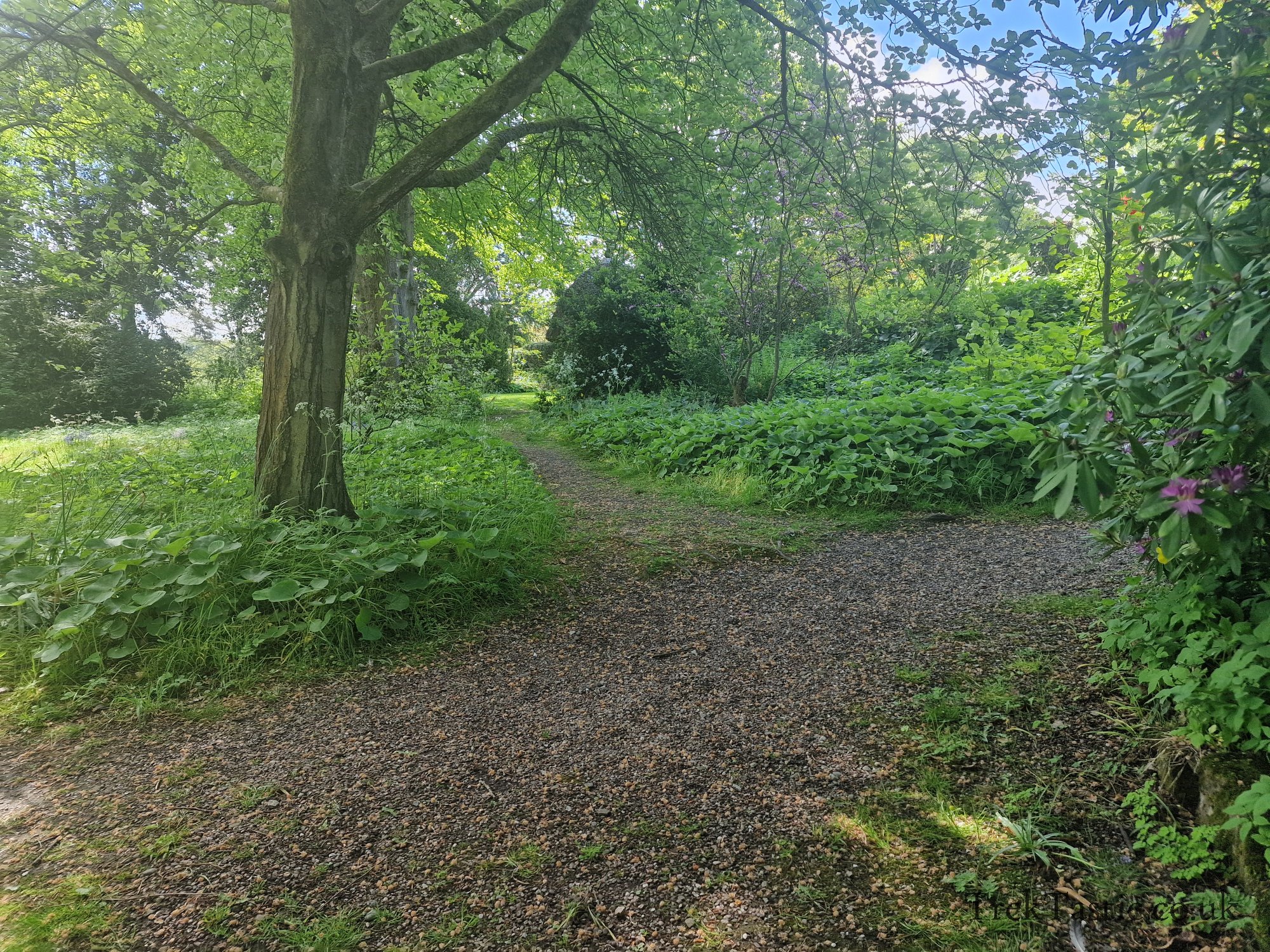 Benthall Estate gallery image 9