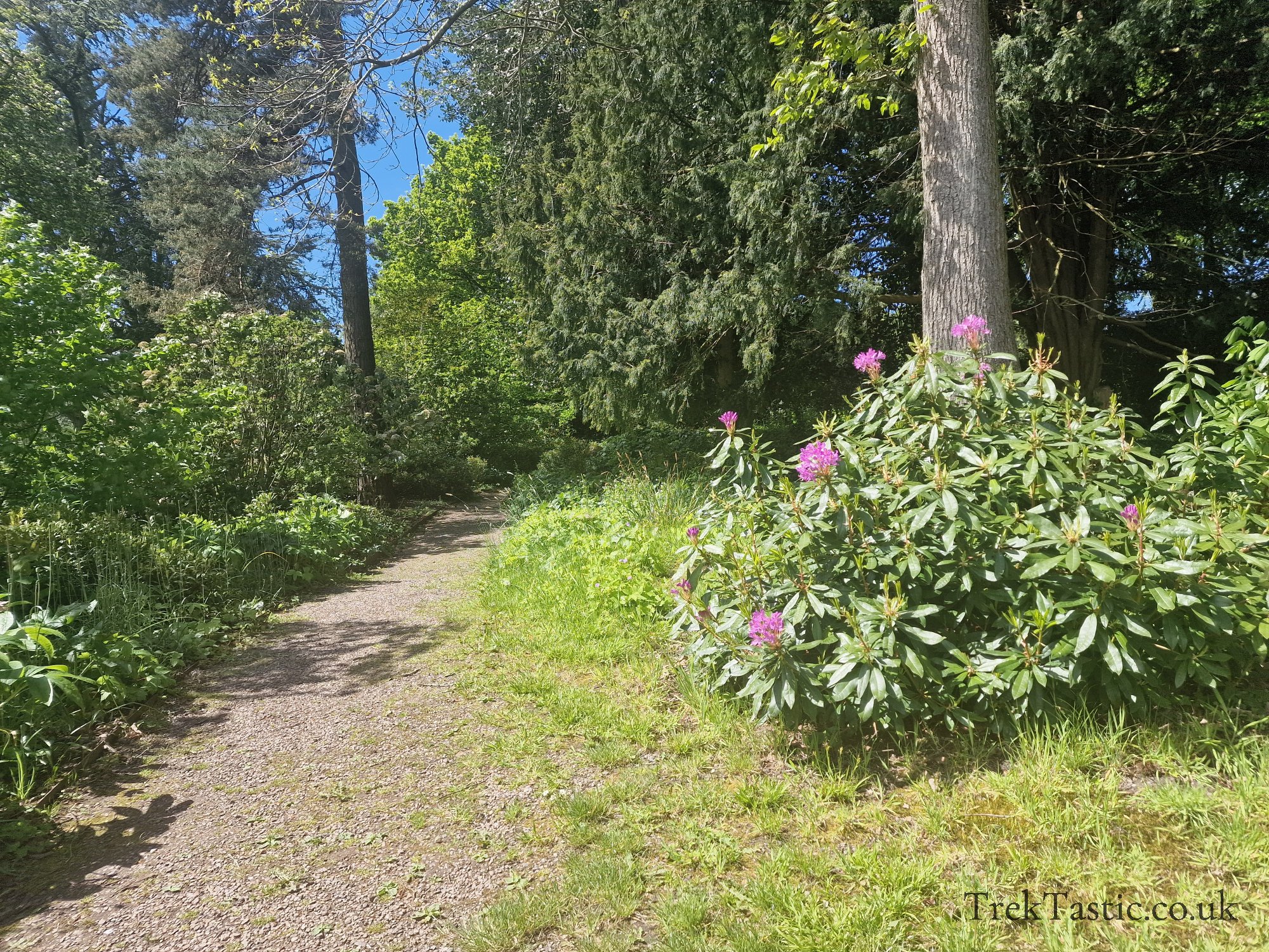 Benthall Estate gallery image 10
