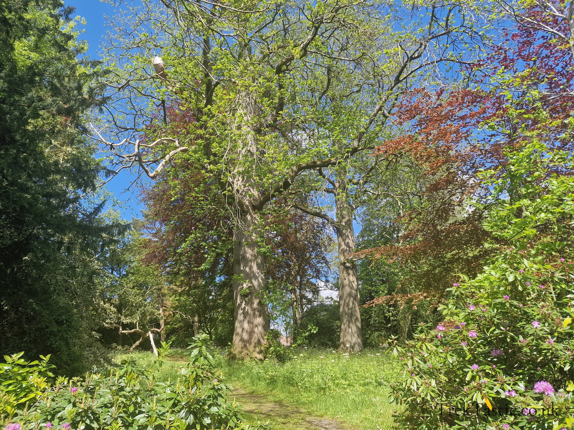 Benthall Estate gallery image 11