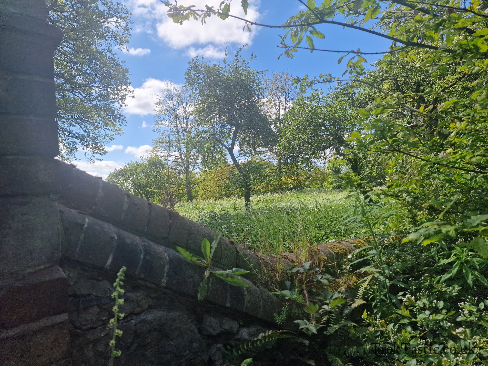 Benthall Estate gallery image 13