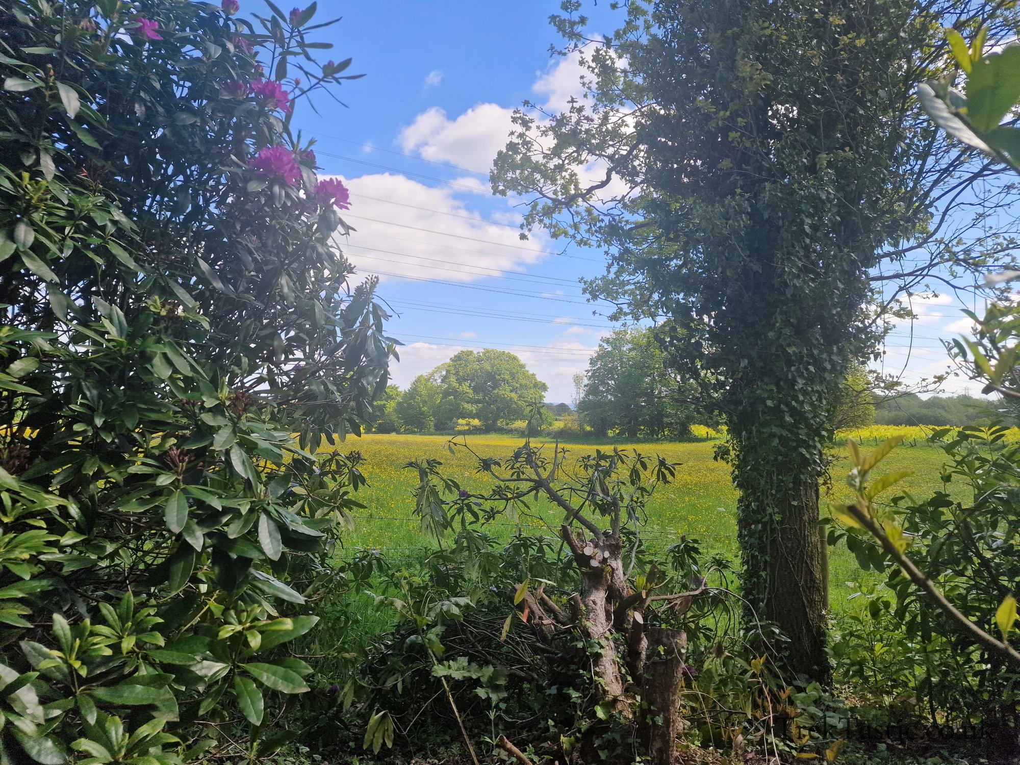 Benthall Estate gallery image 14