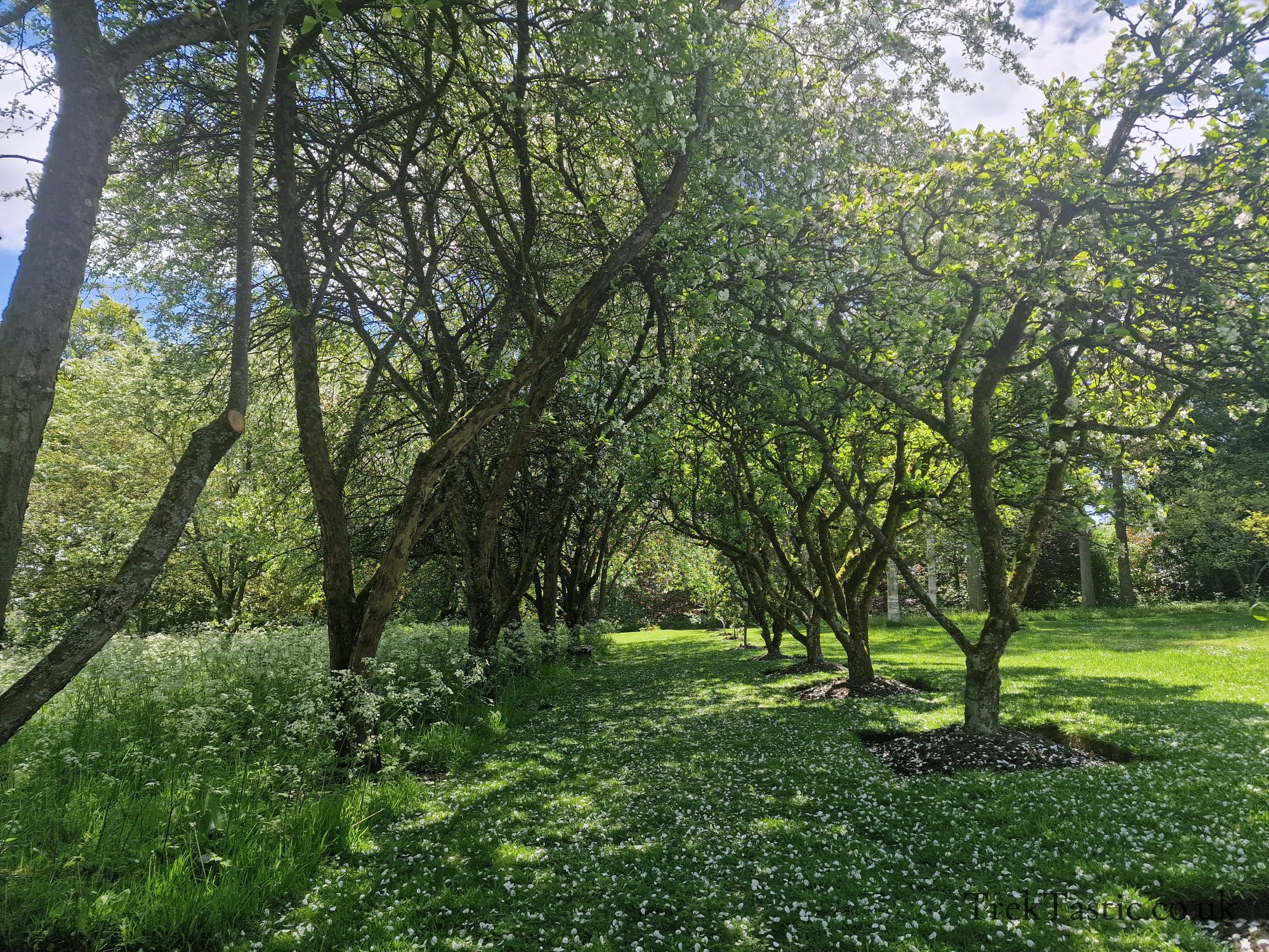 Benthall Estate gallery image 17