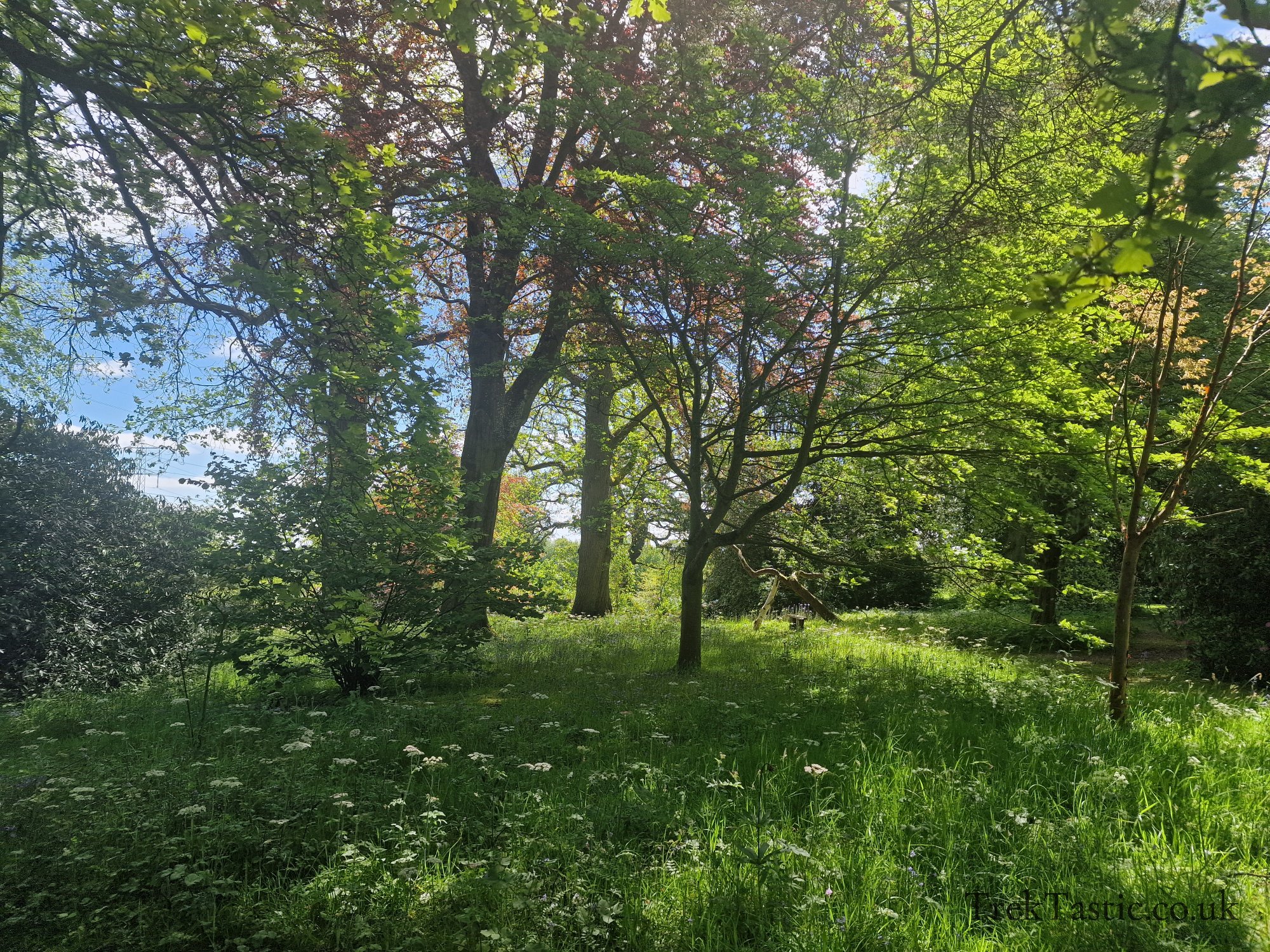 Benthall Estate gallery image 20