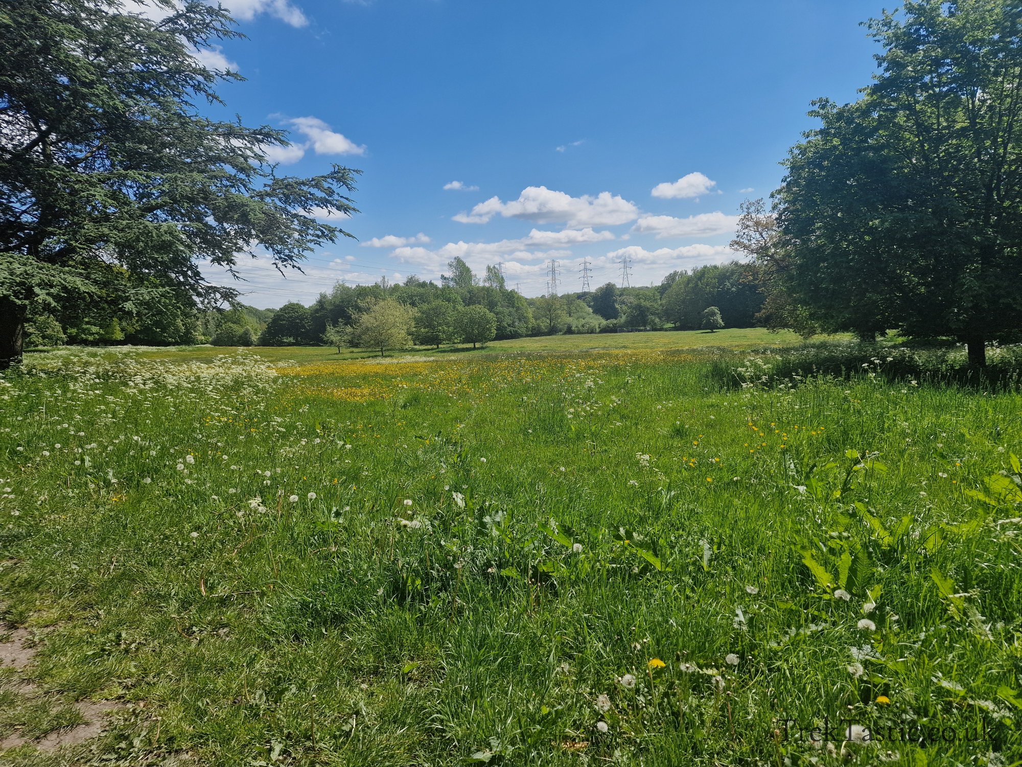 Benthall Estate gallery image 31