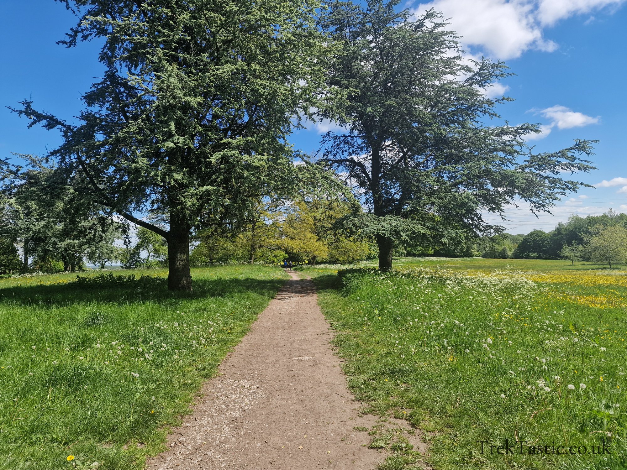 Benthall Estate gallery image 32