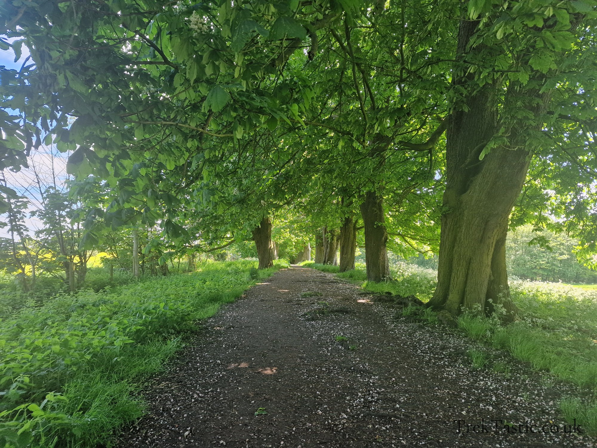 Benthall Estate gallery image 34