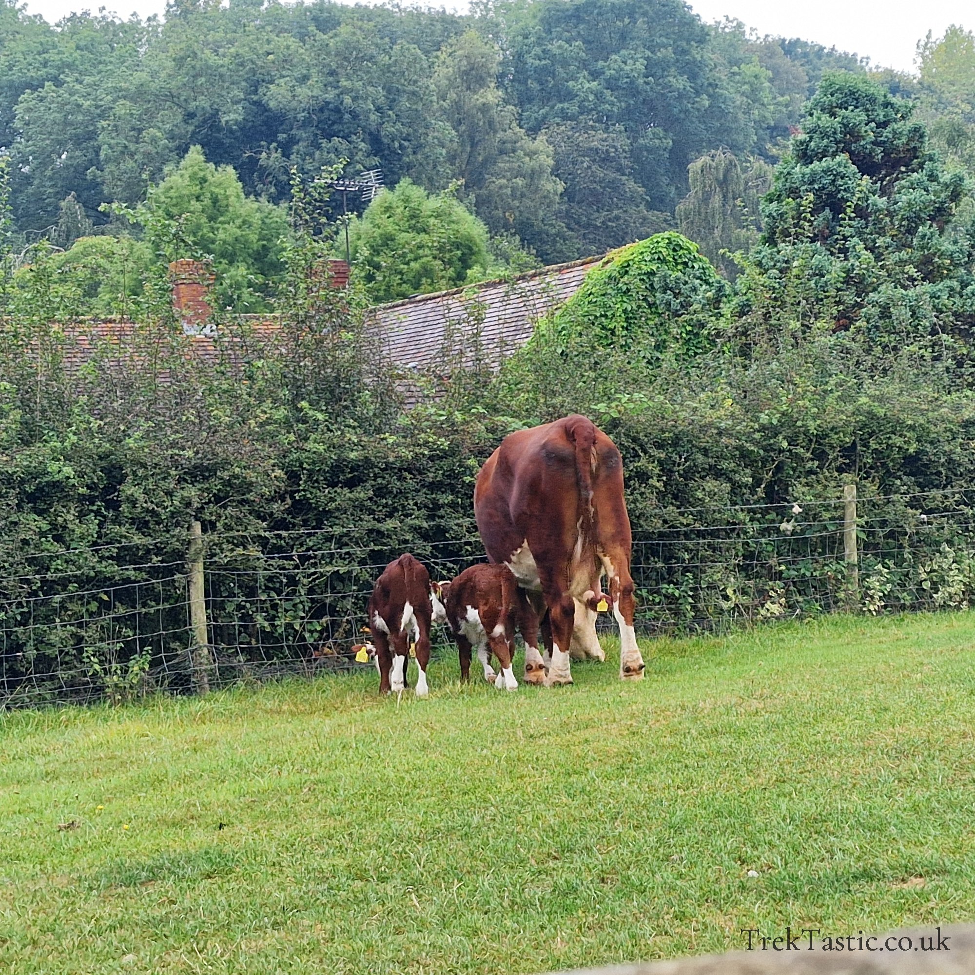 Bodenham Arboretum gallery image 3