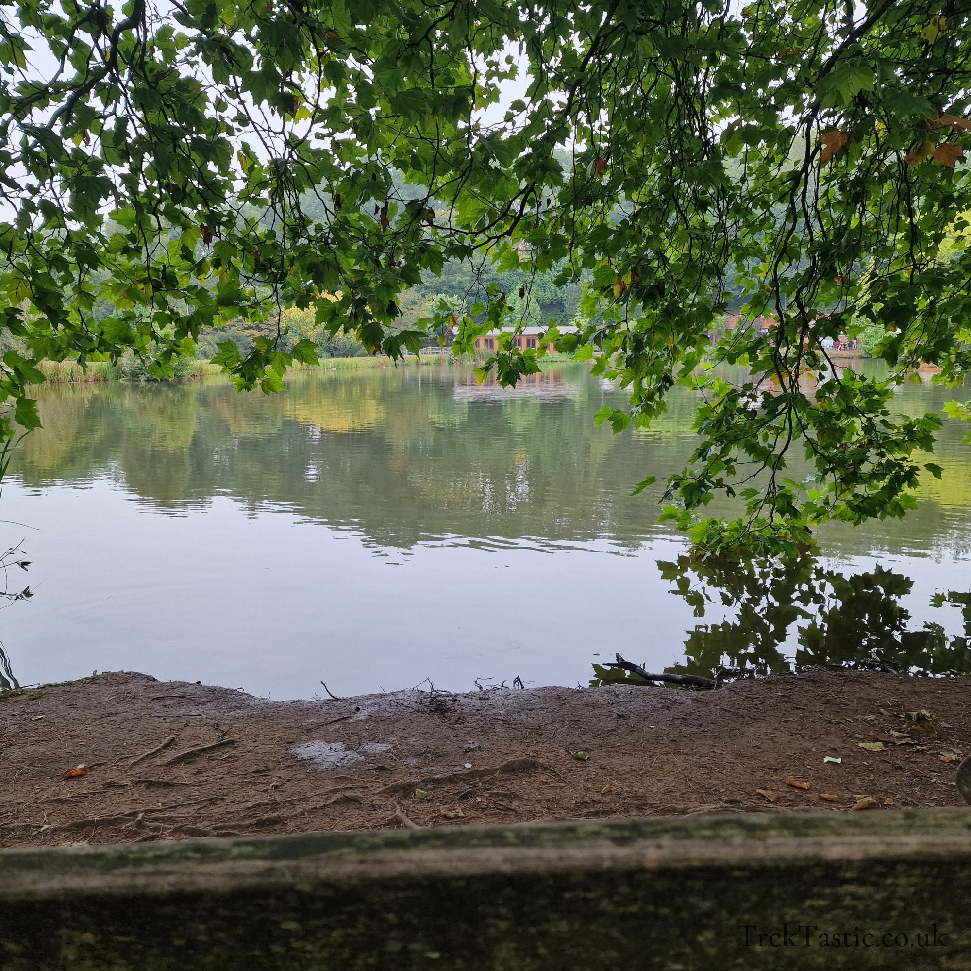 Bodenham Arboretum gallery image 4