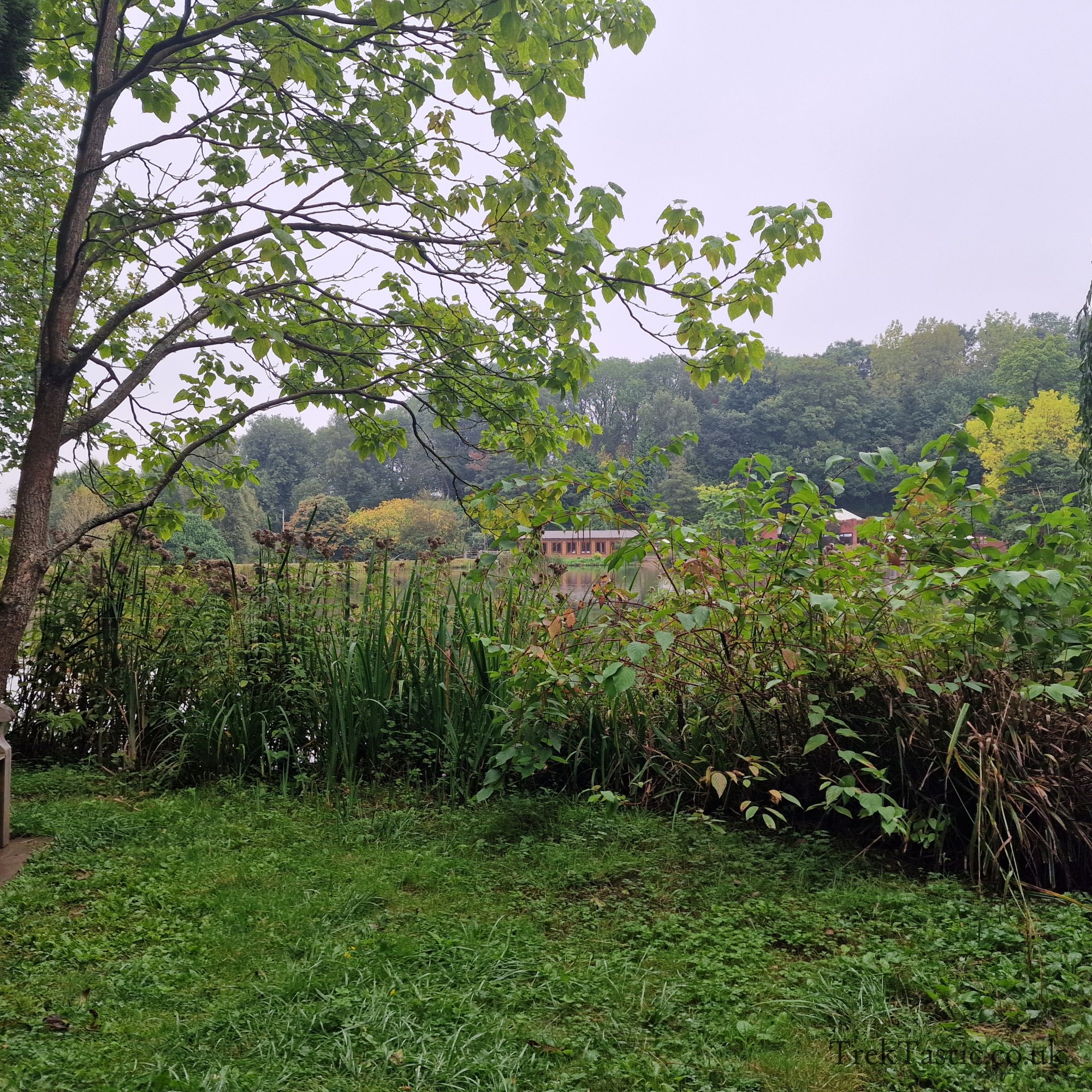 Bodenham Arboretum gallery image 5