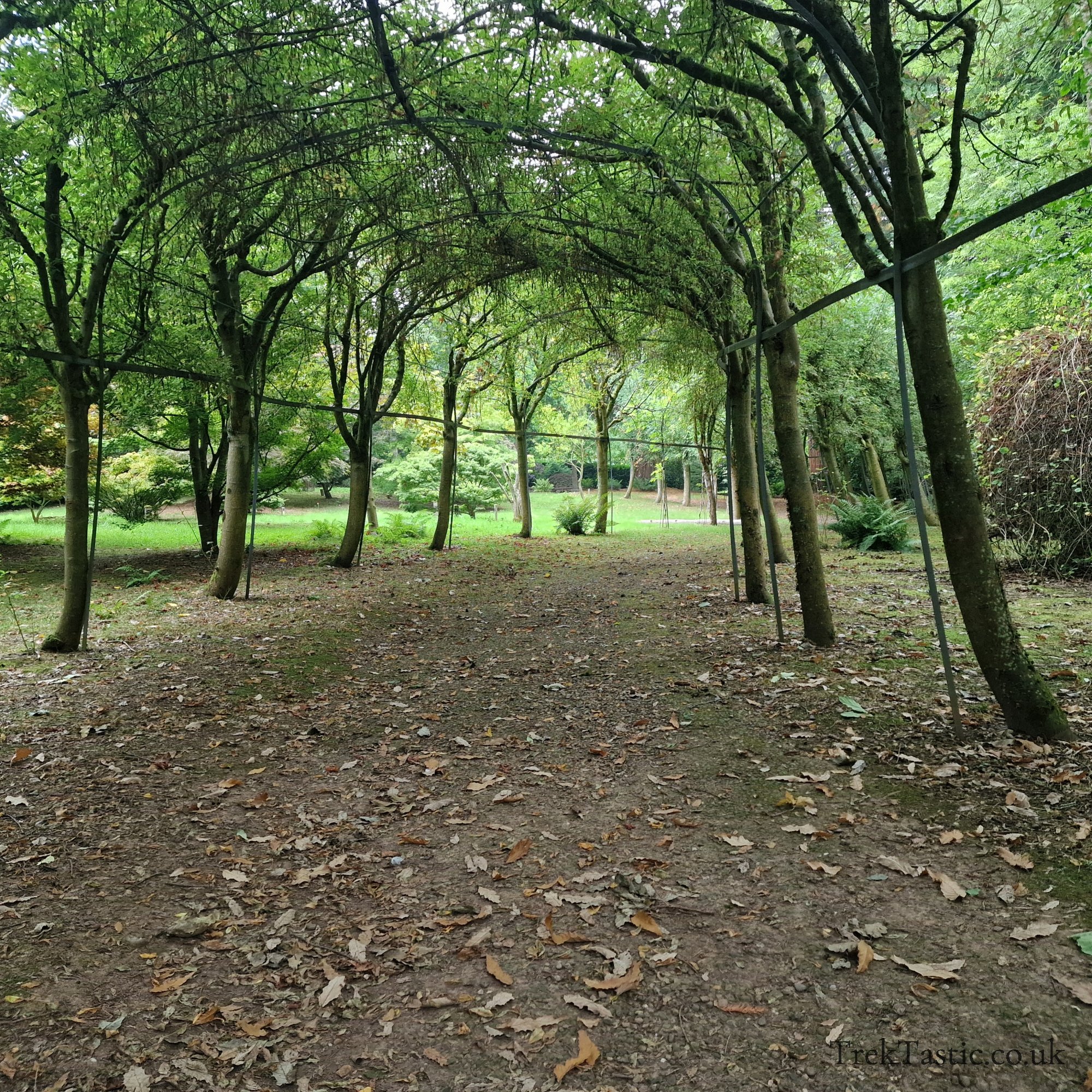 Bodenham Arboretum gallery image 6