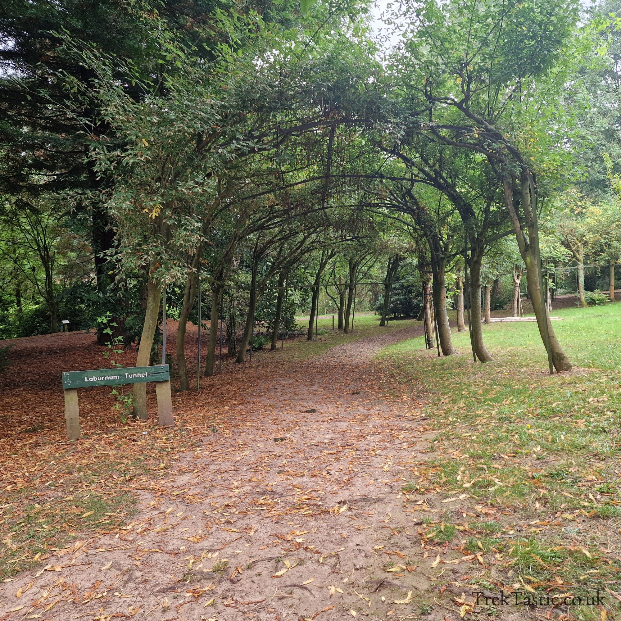 Bodenham Arboretum gallery image 11