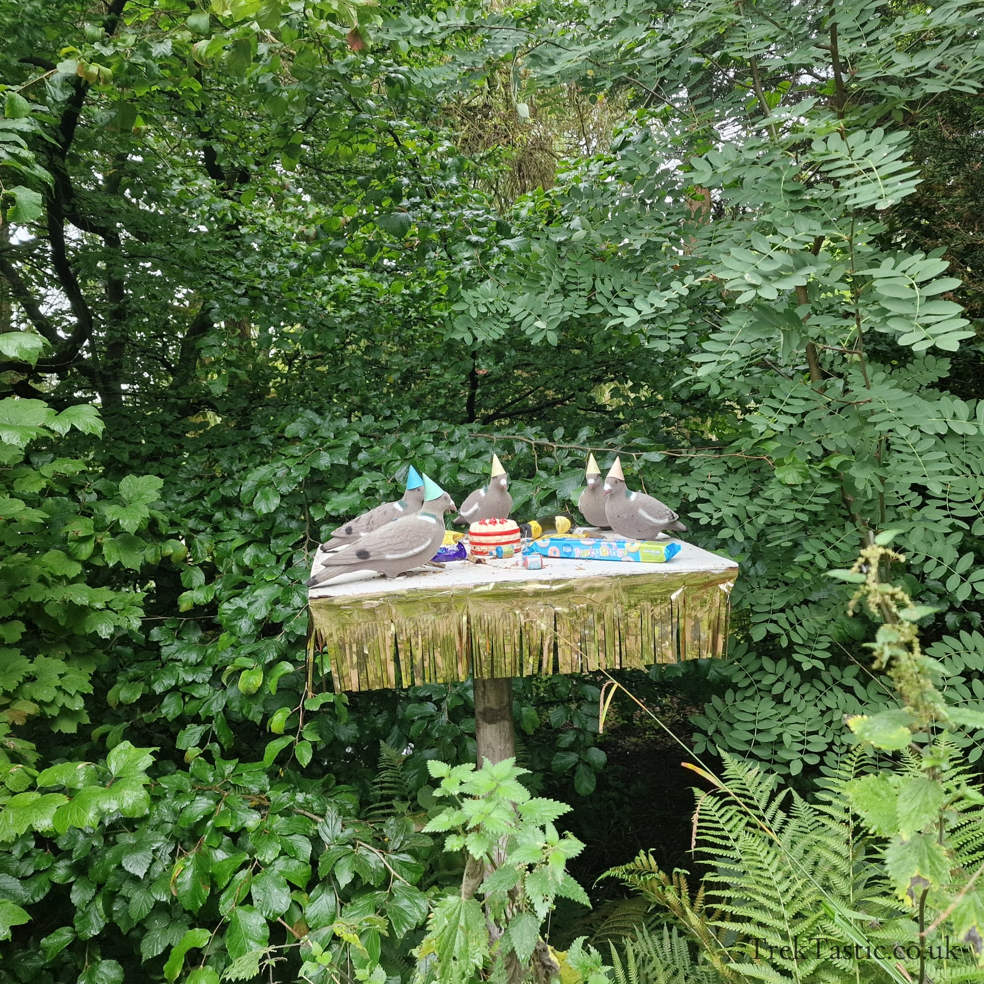 Bodenham Arboretum gallery image 12