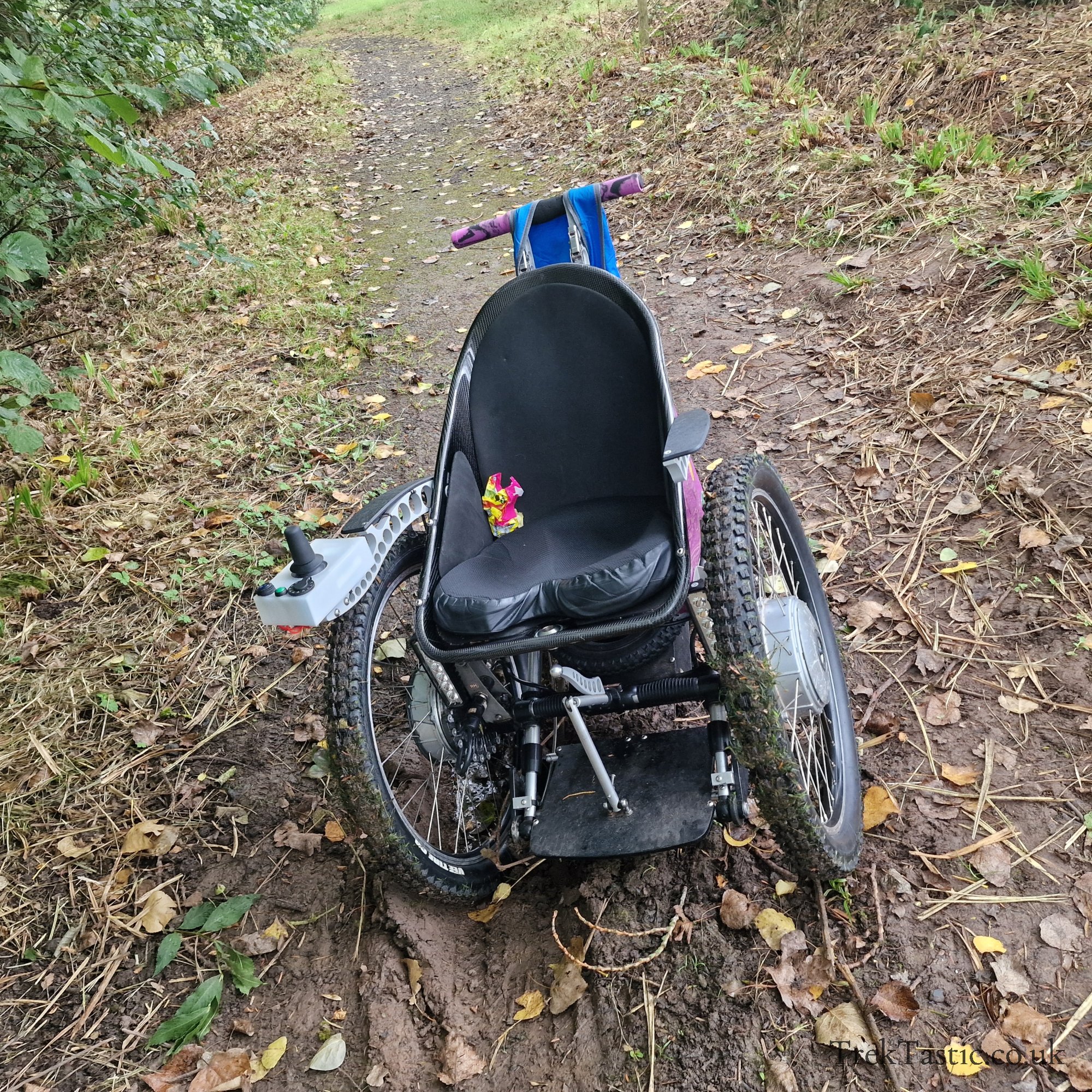 Bodenham Arboretum gallery image 13