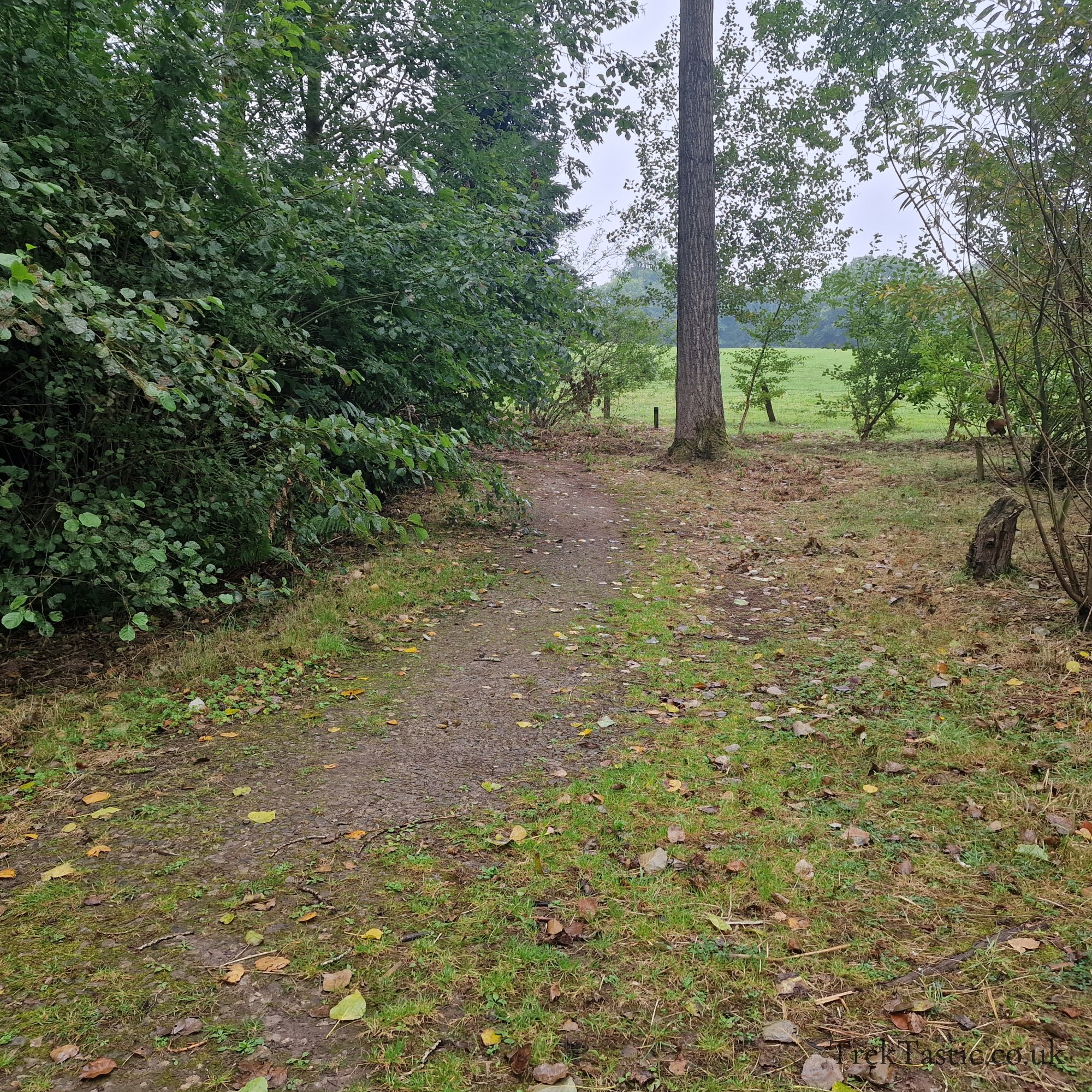 Bodenham Arboretum gallery image 14