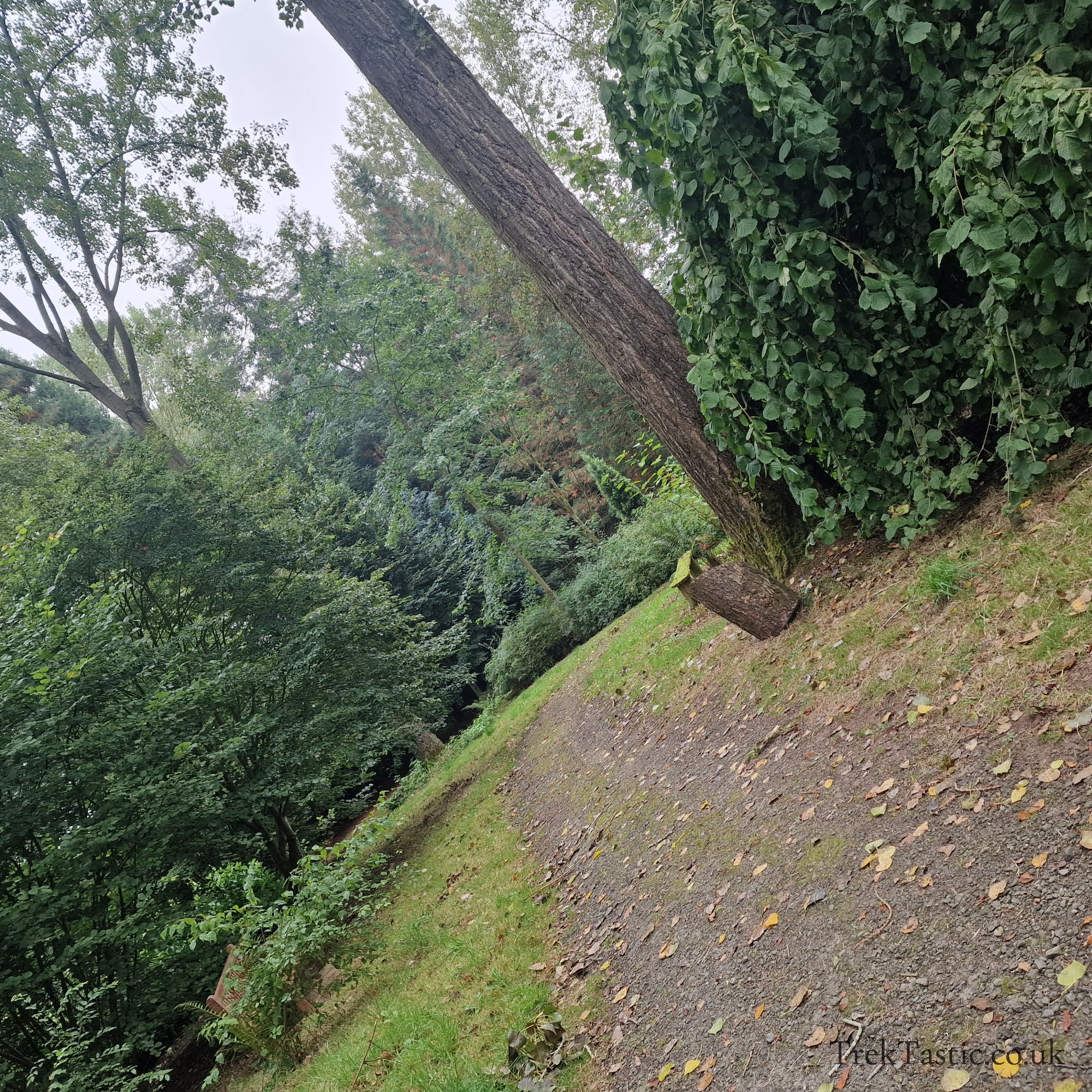Bodenham Arboretum gallery image 15