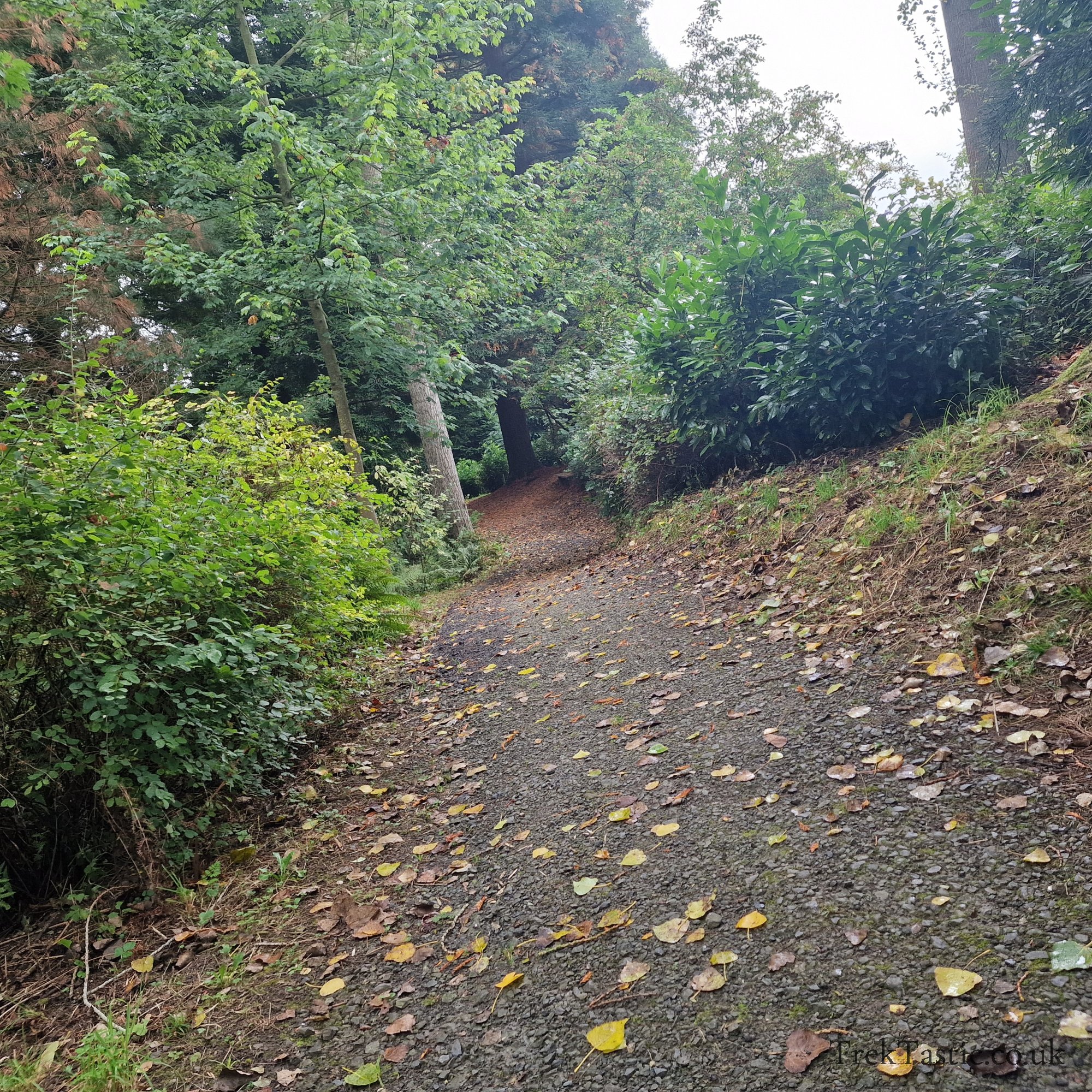 Bodenham Arboretum gallery image 16