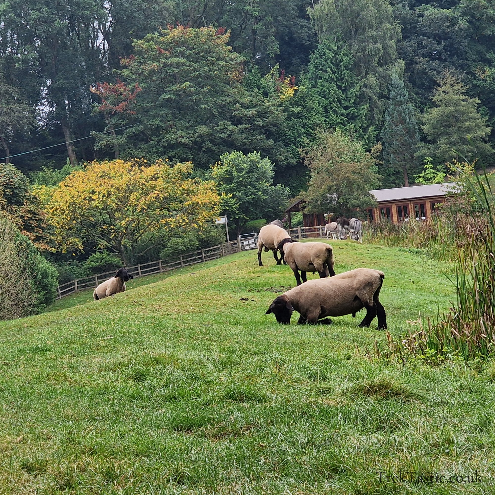 Bodenham Arboretum gallery image 17