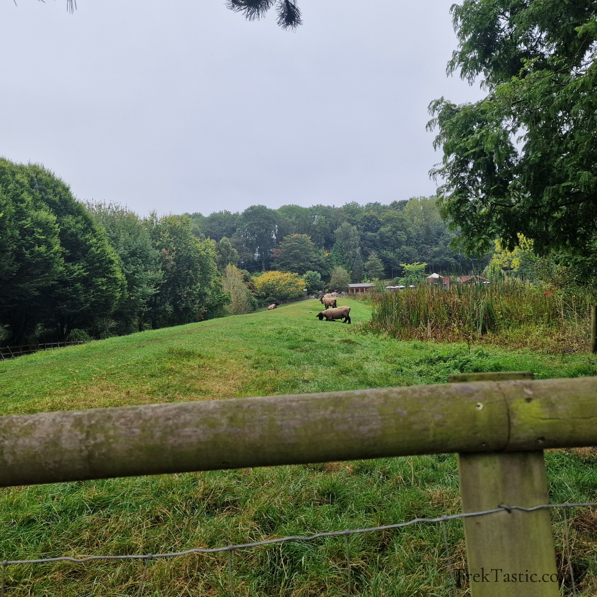 Bodenham Arboretum gallery image 18