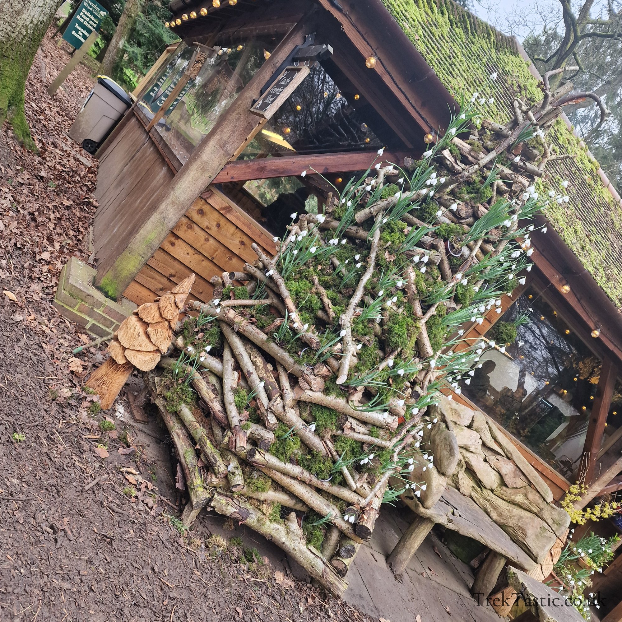 Evenley Wood Gardens gallery image 1