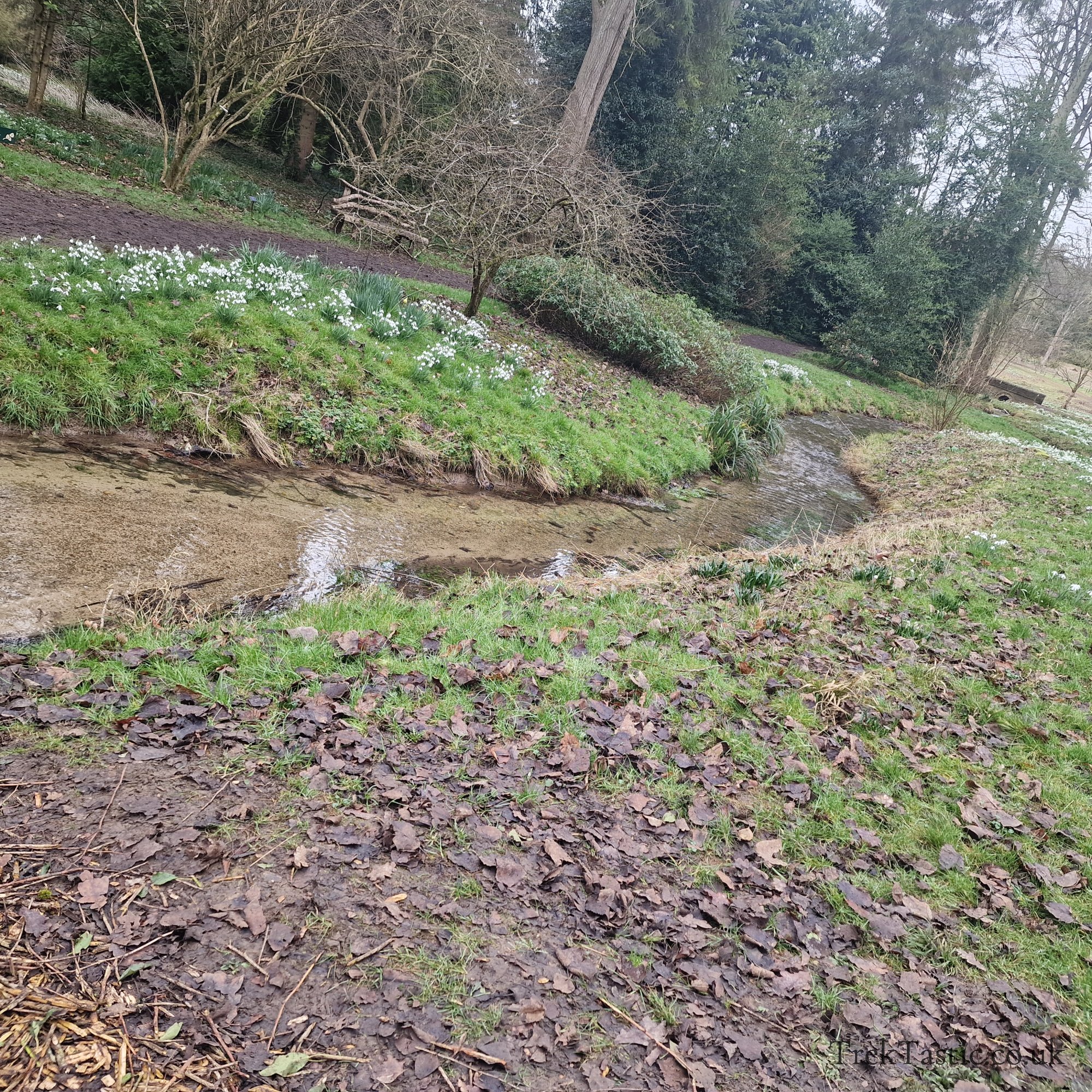 Evenley Wood Gardens gallery image 3