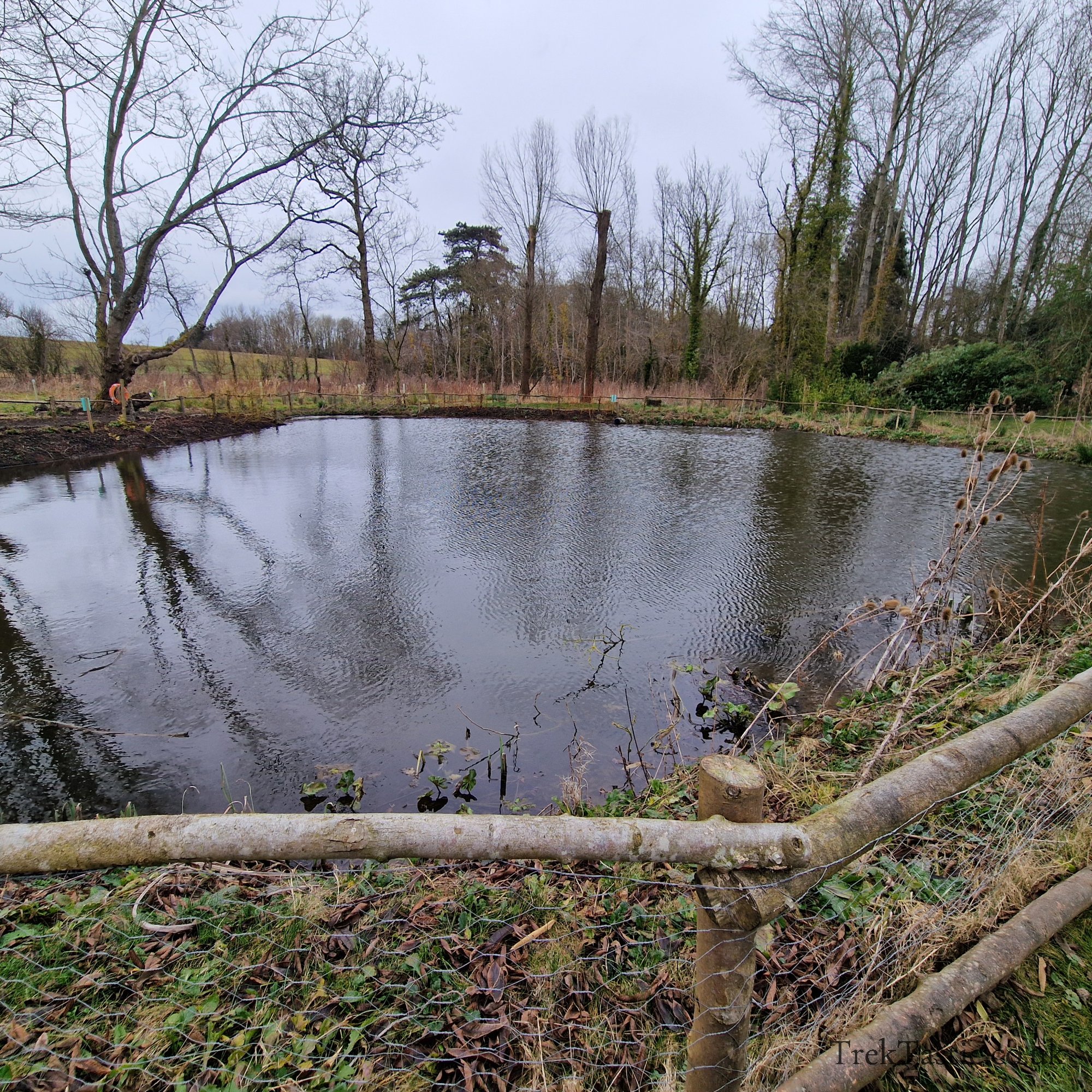 Evenley Wood Gardens gallery image 6