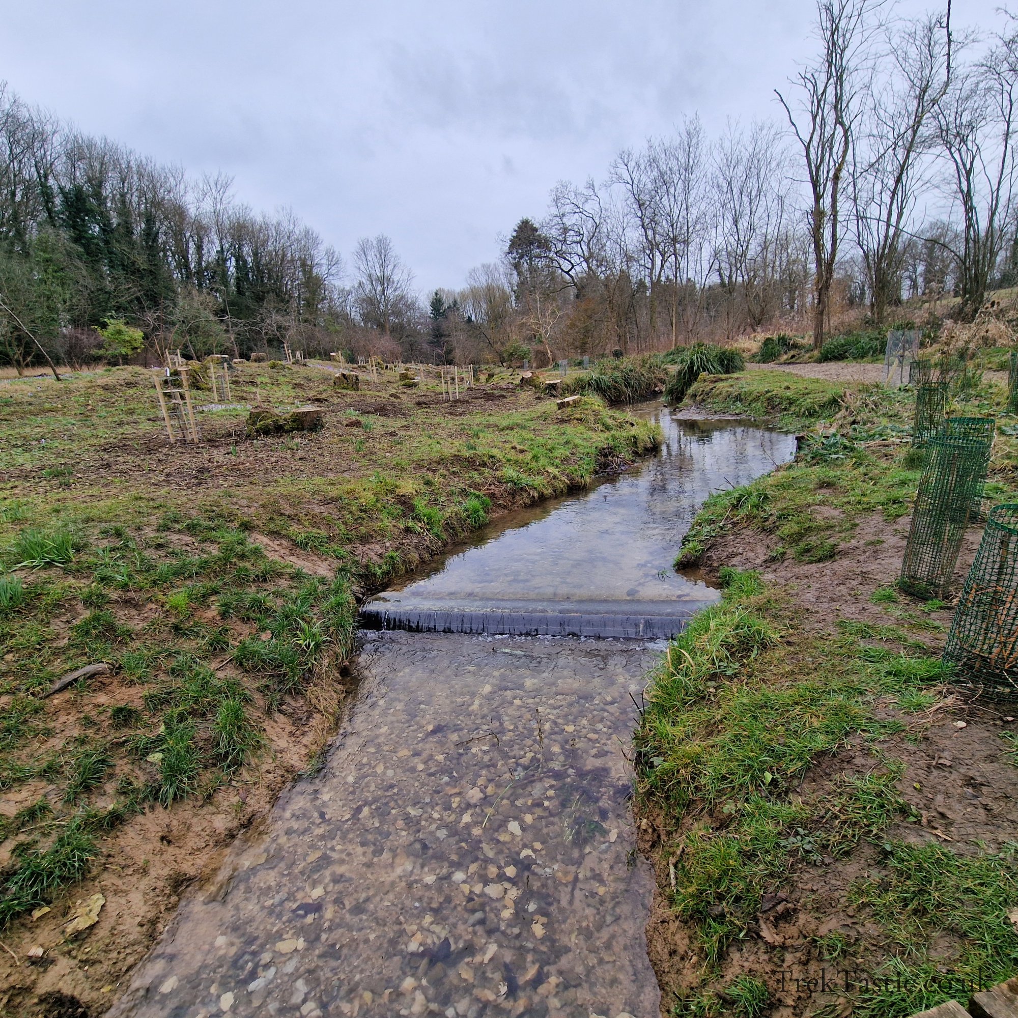 Evenley Wood Gardens gallery image 7