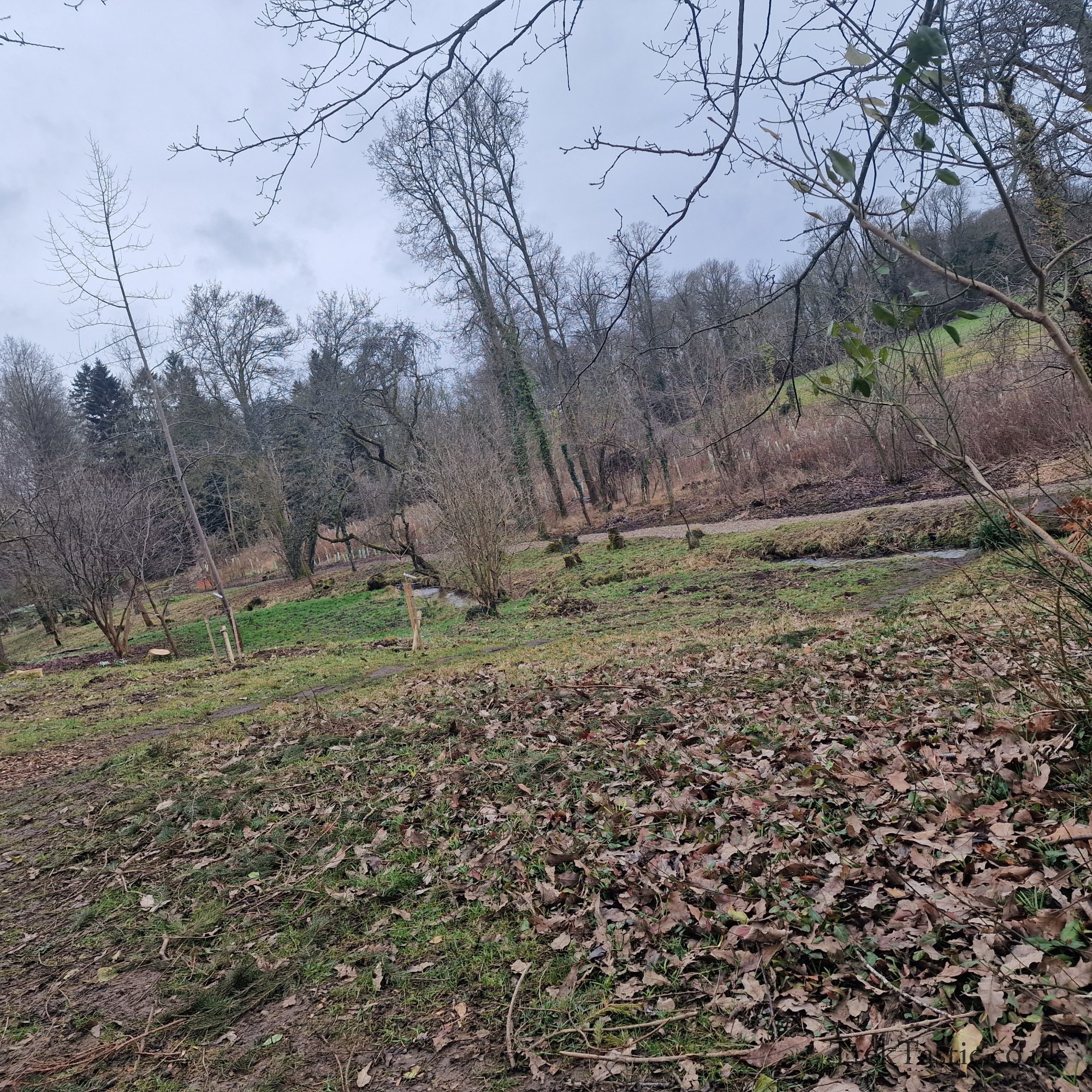 Evenley Wood Gardens gallery image 8
