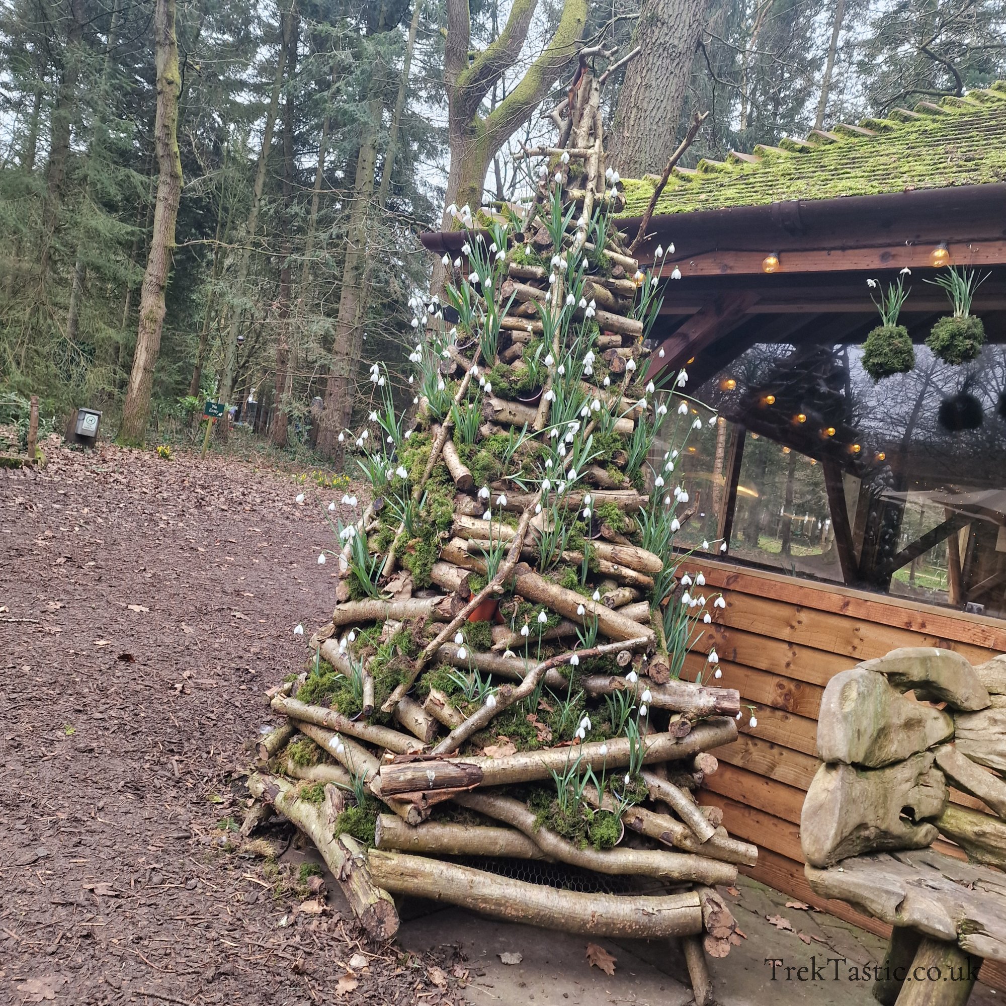 Evenley Wood Gardens gallery image 11