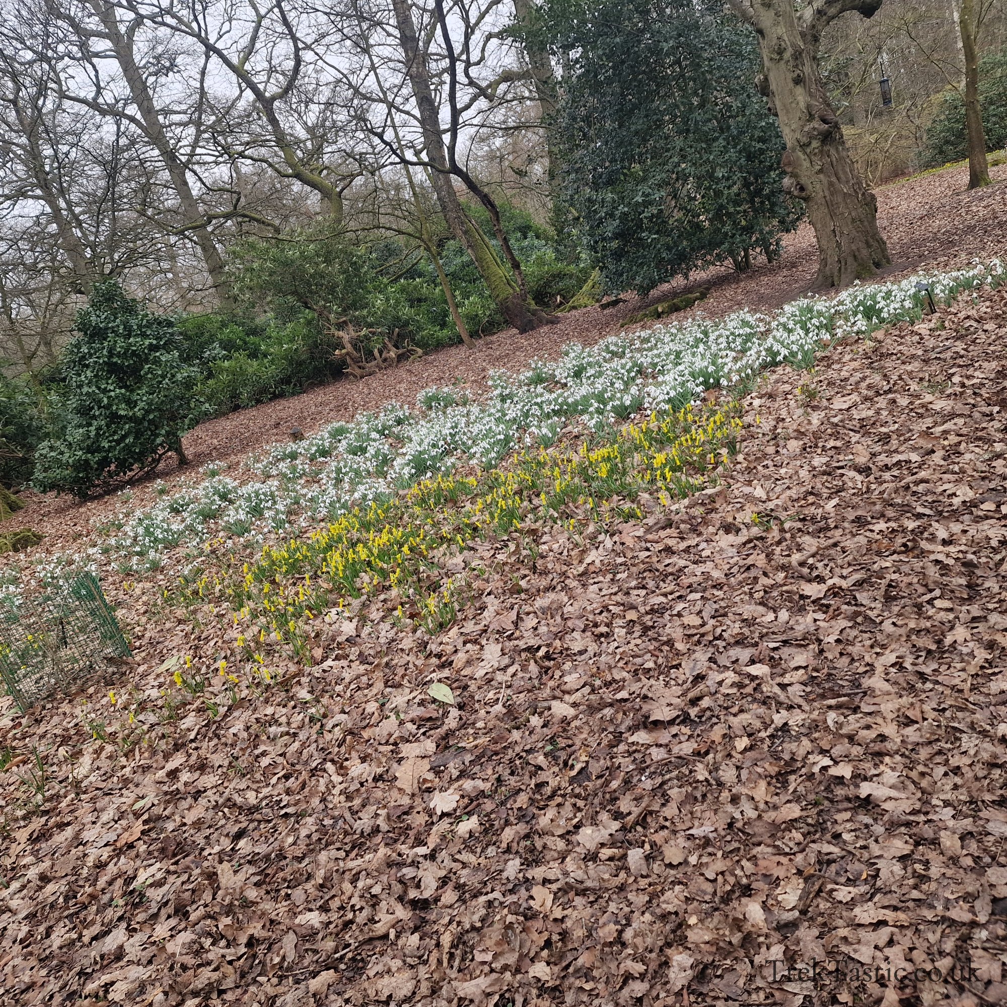 Evenley Wood Gardens gallery image 14