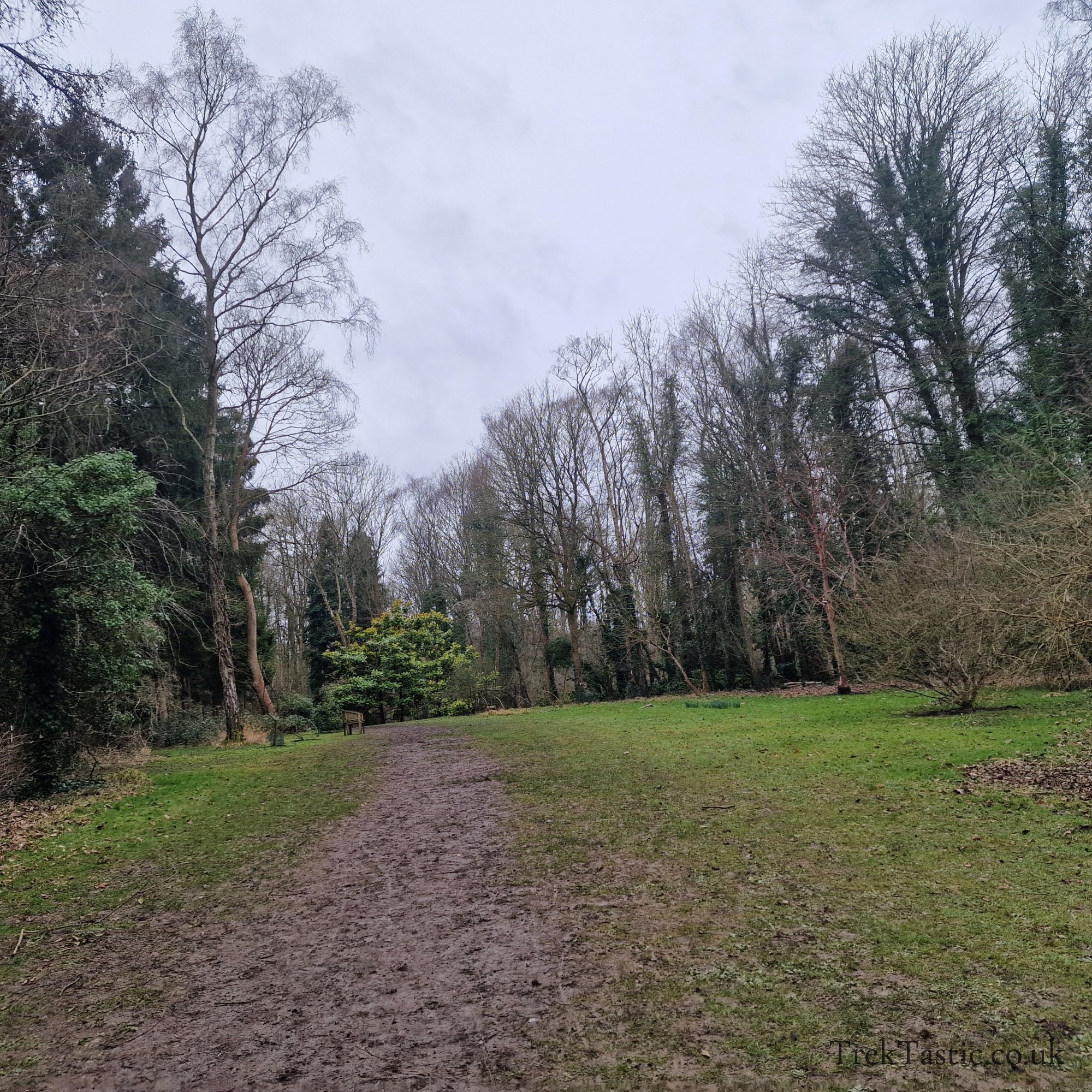 Evenley Wood Gardens gallery image 16