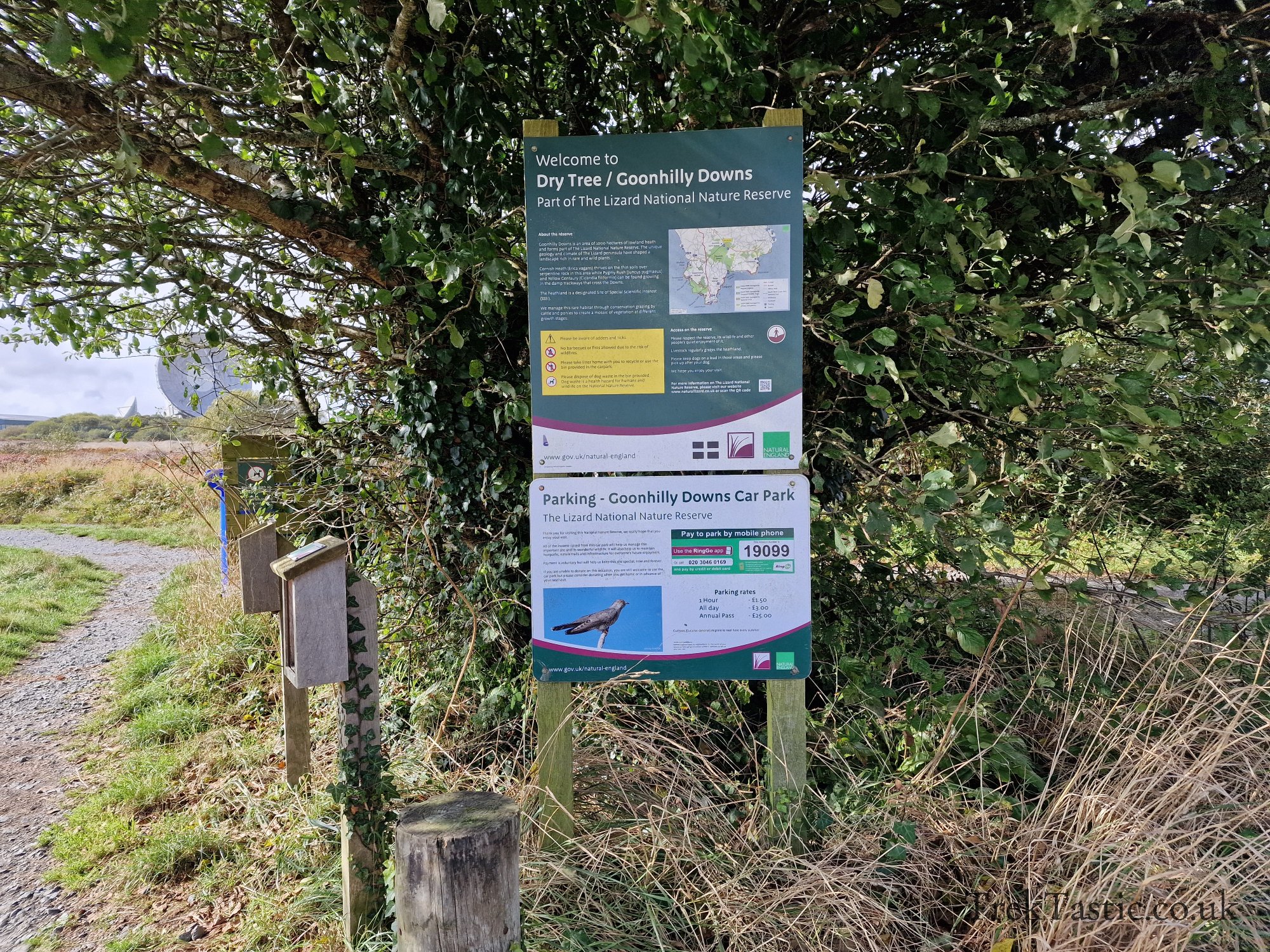 Goonhilly Downs gallery image 1