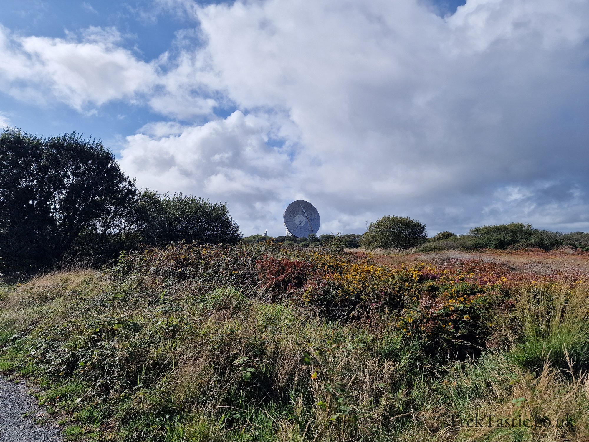 Goonhilly Downs gallery image 3