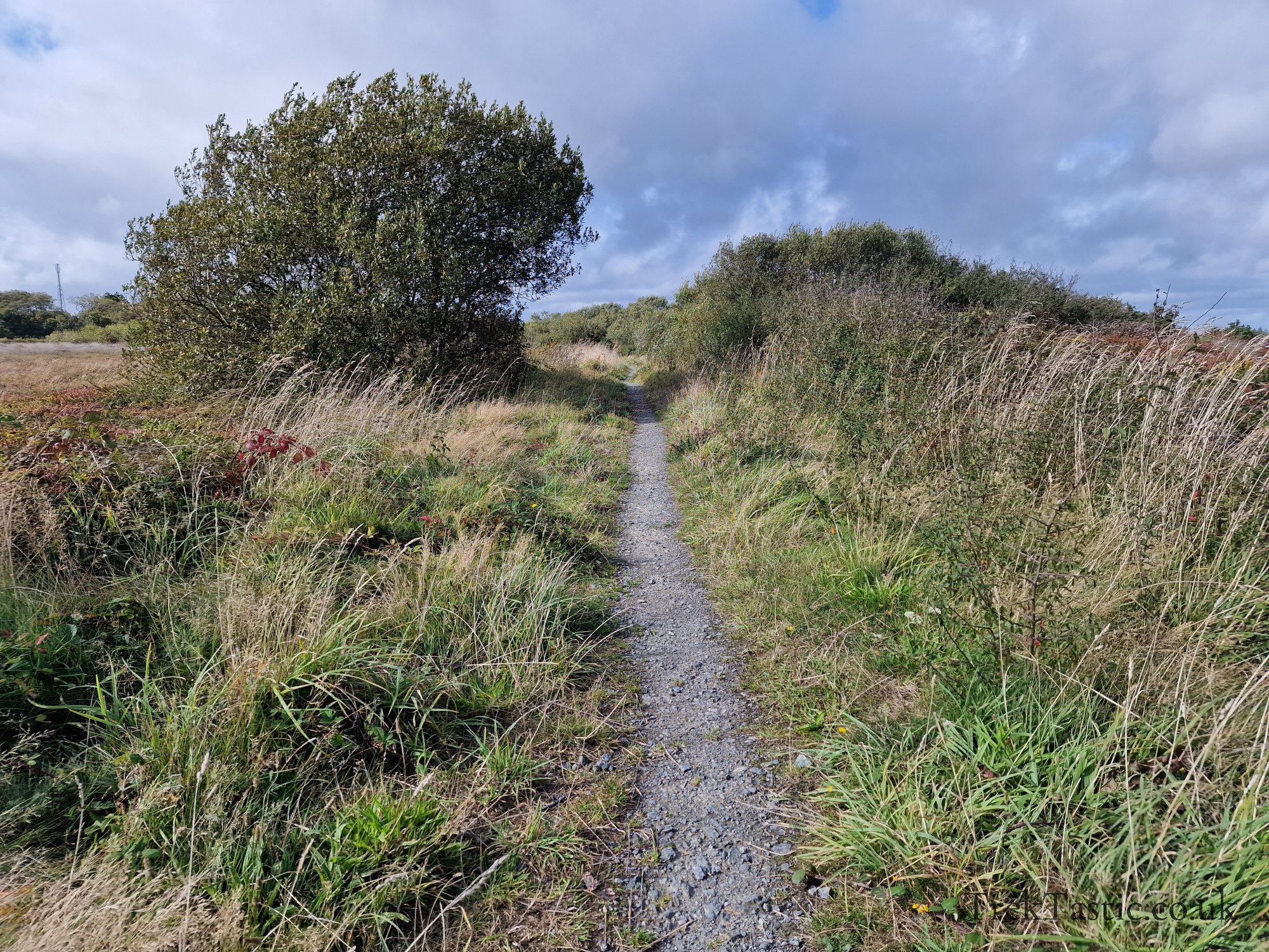 Goonhilly Downs gallery image 4