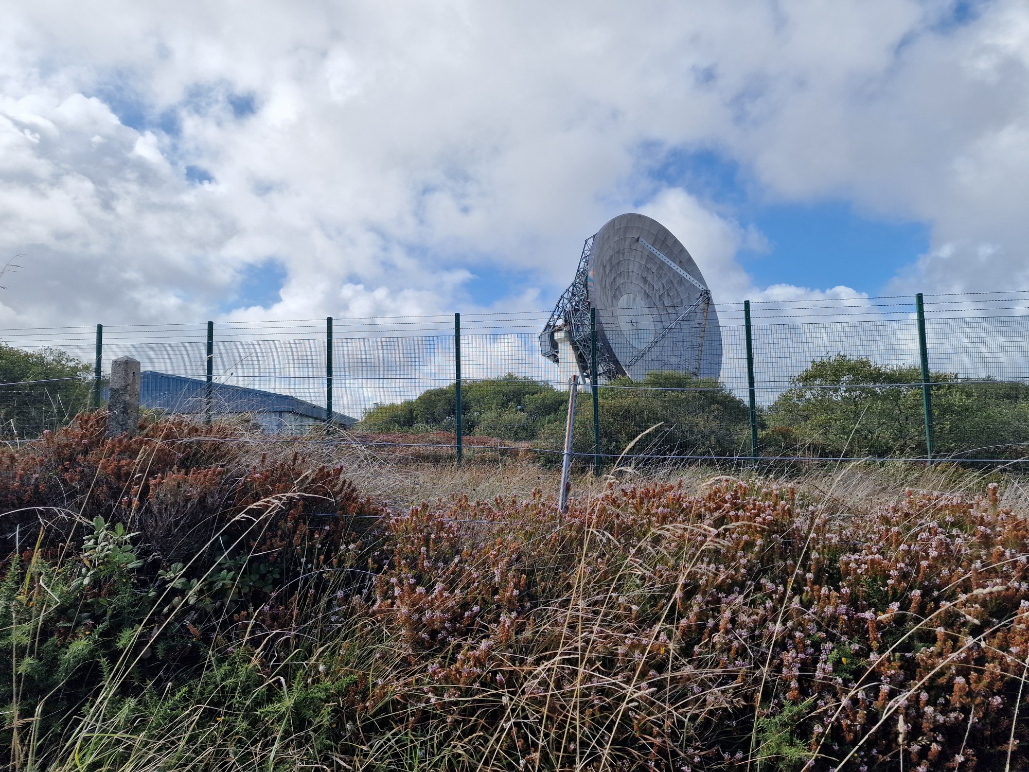 Goonhilly Downs gallery image 5