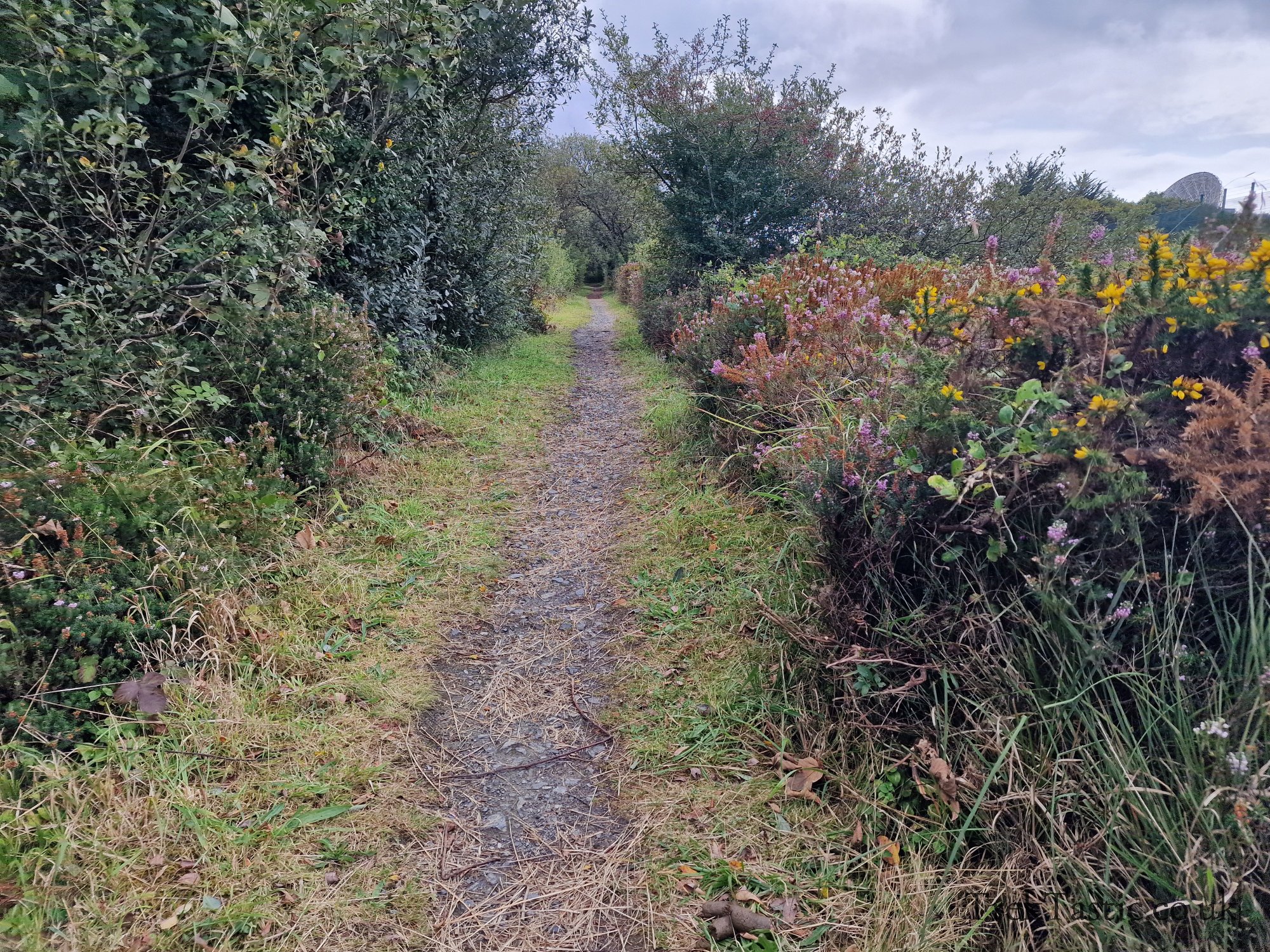 Goonhilly Downs gallery image 9