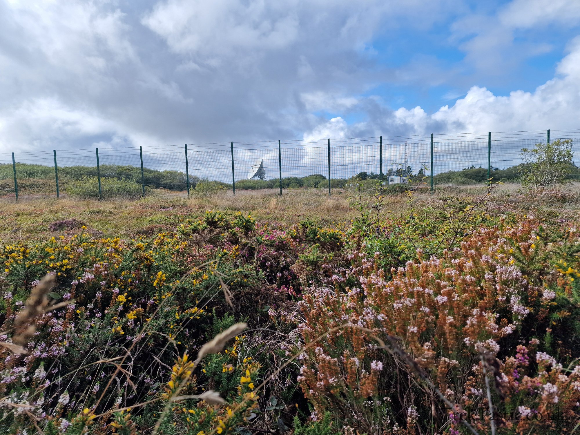 Goonhilly Downs gallery image 10