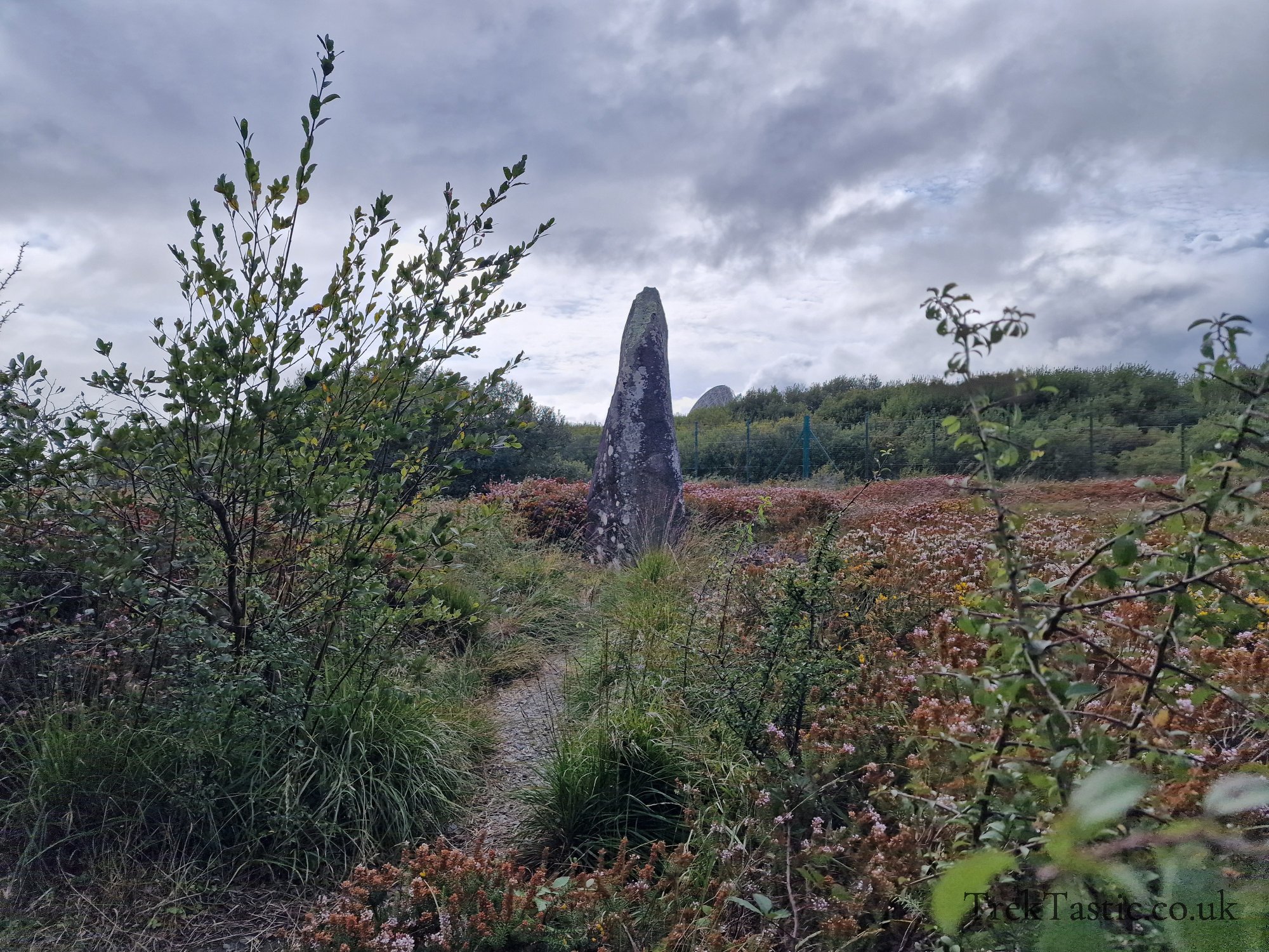 Goonhilly Downs gallery image 11